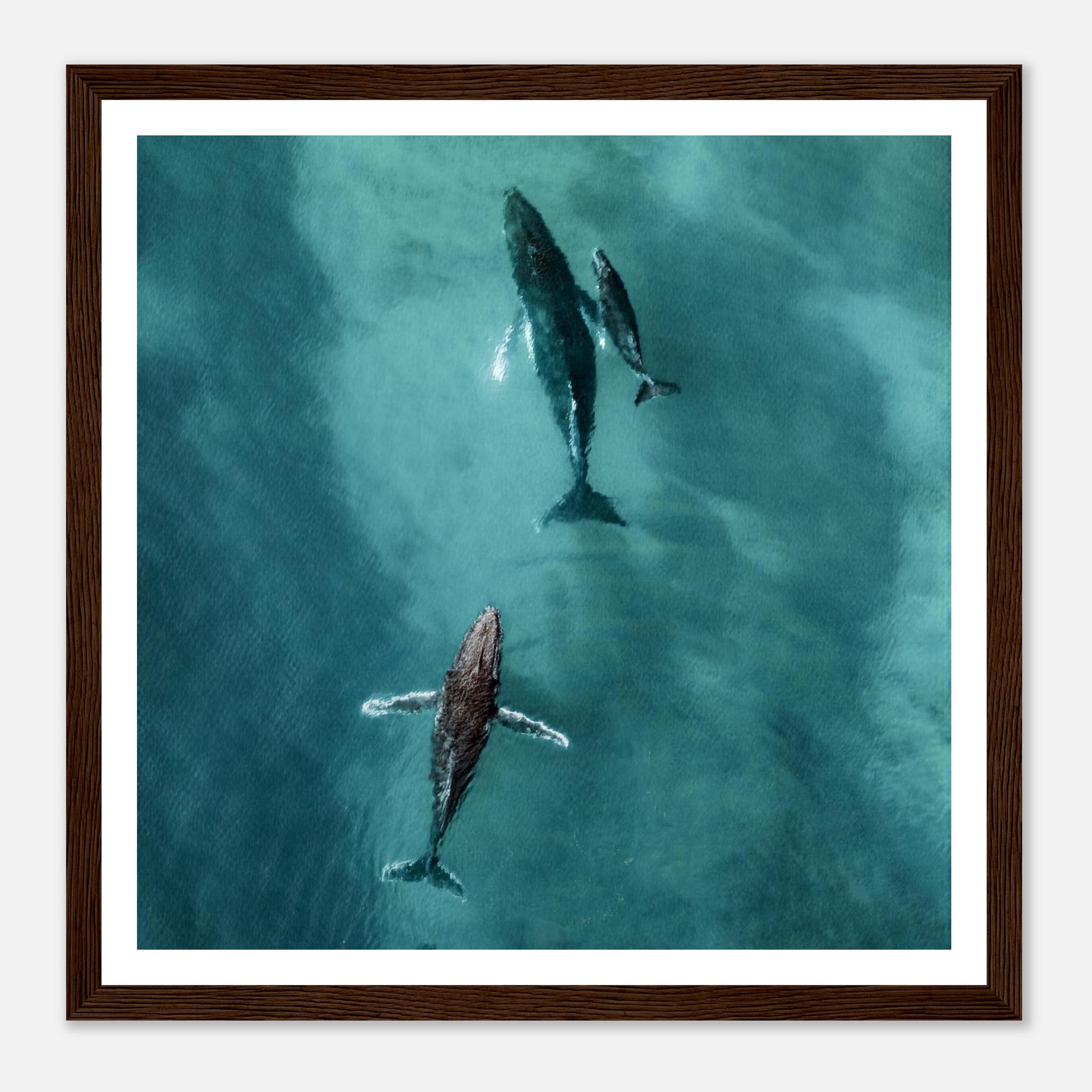 89ec6ec2-13f5-43f8-ab9c-5740dd749efb