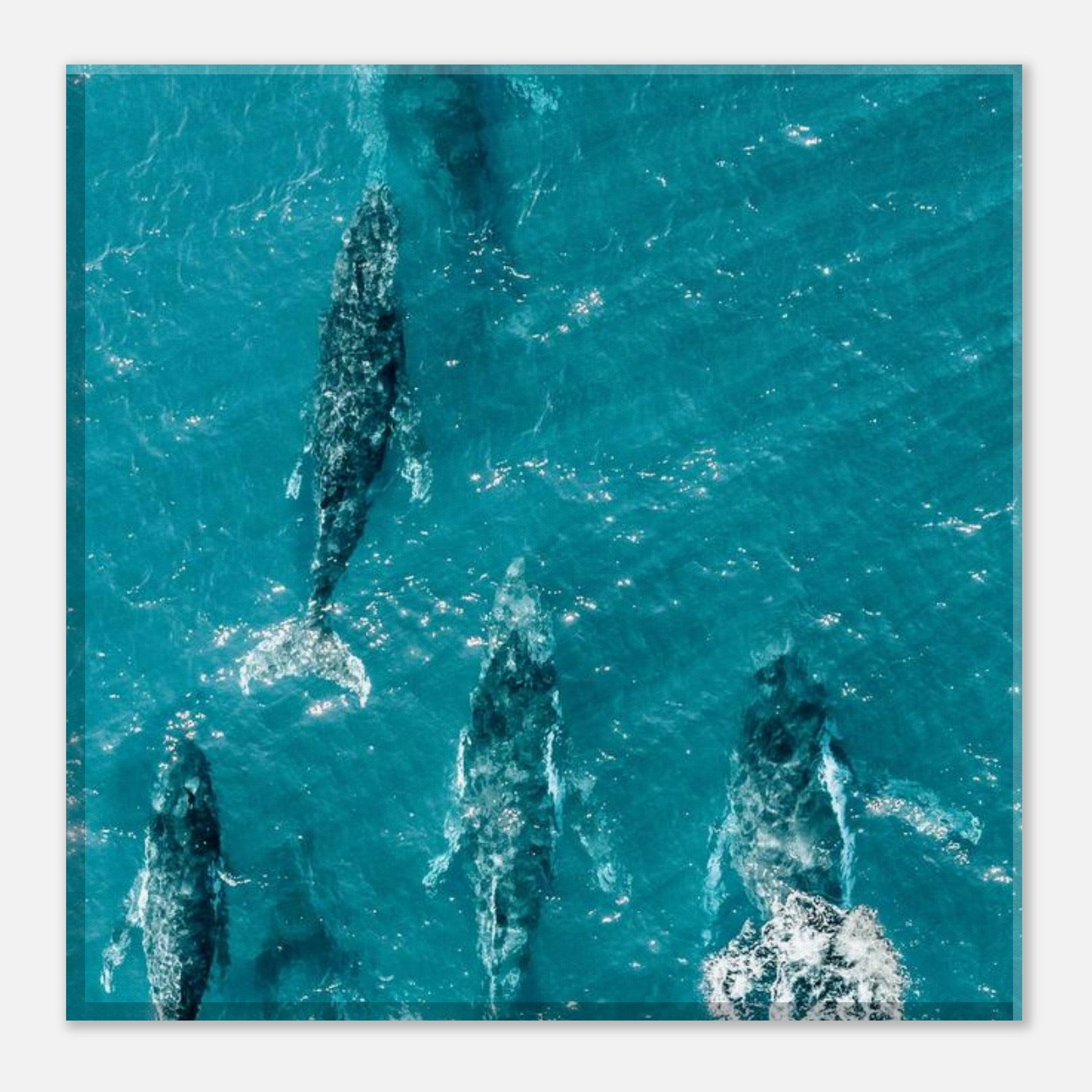 89fc01d3-dccb-45f5-adeb-7eae1f30ccb6