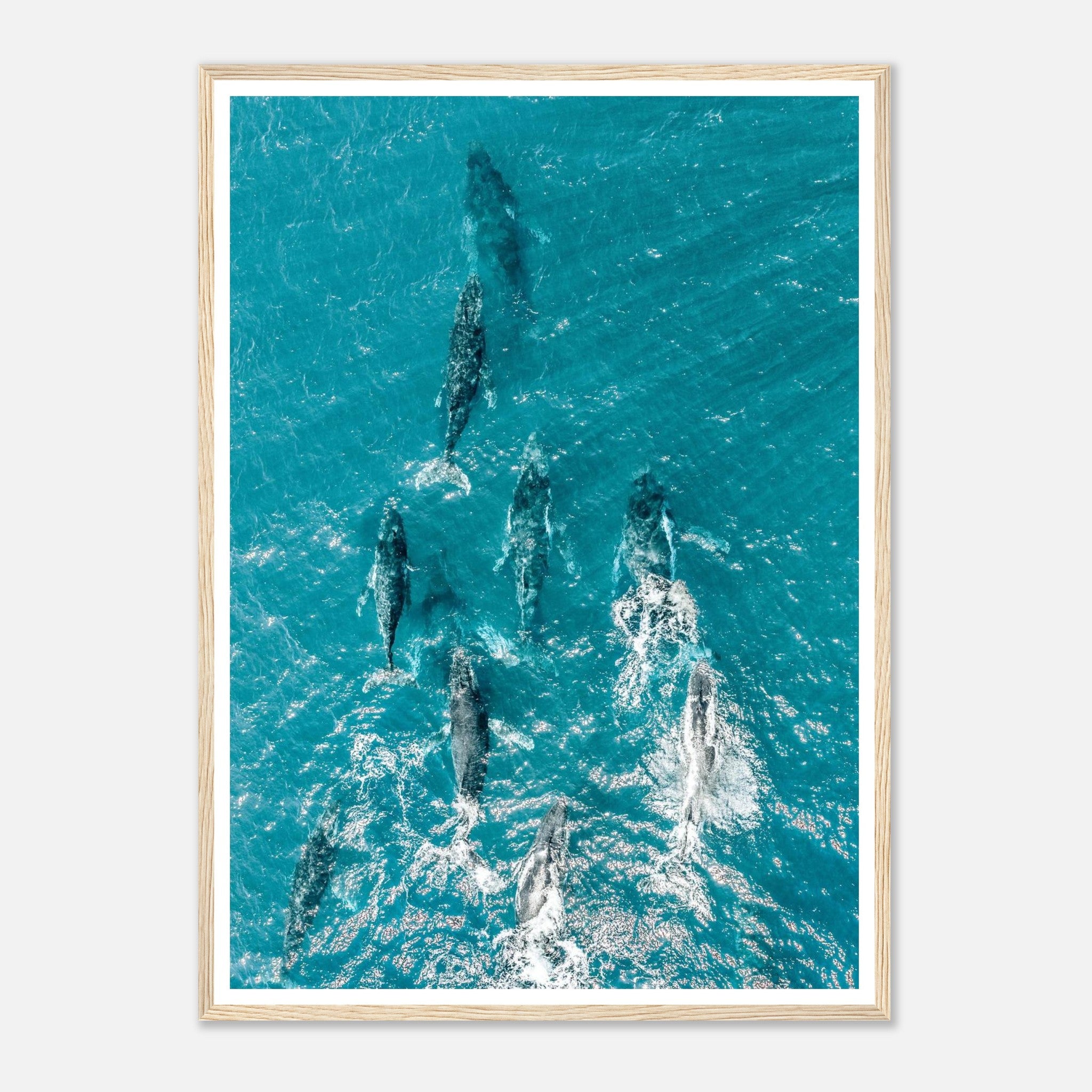 8a31a12b-41ce-4e30-a1b2-3fe29848906c