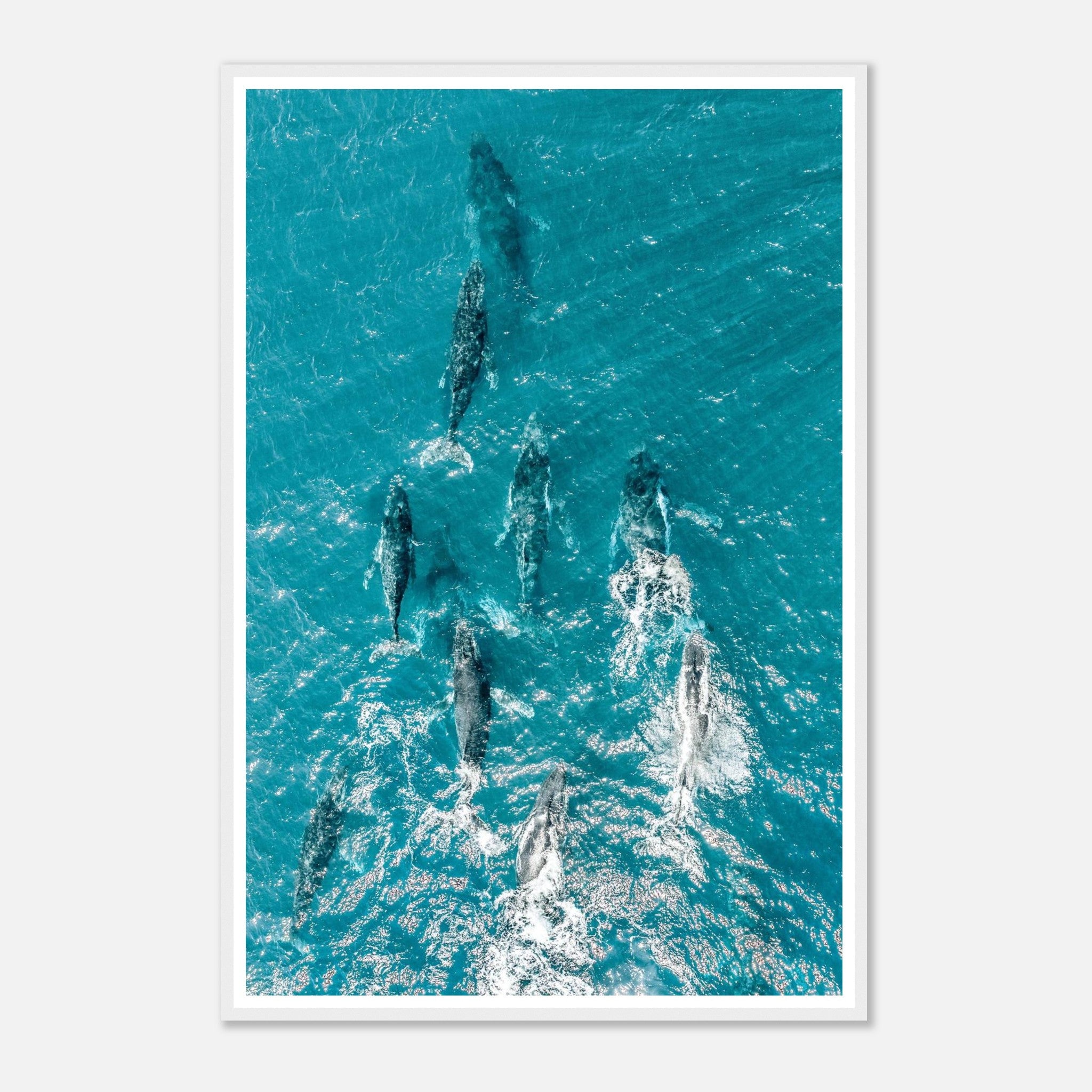 8b73431b-f157-4dfb-9259-9cbaf1731348