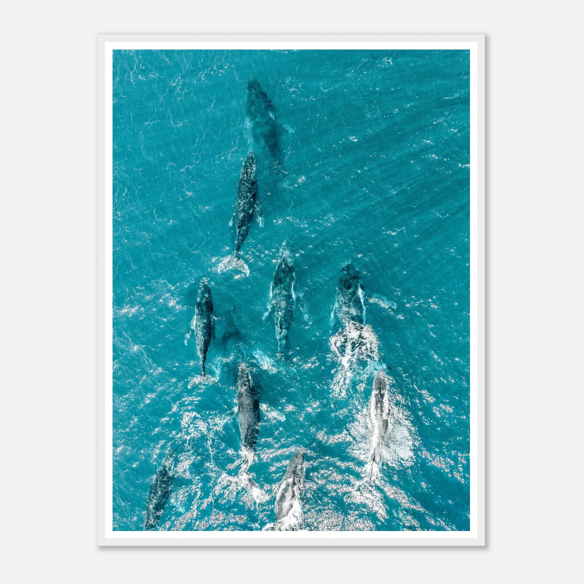 8f030524-5ee0-493d-97b0-1b3e7fd779b5