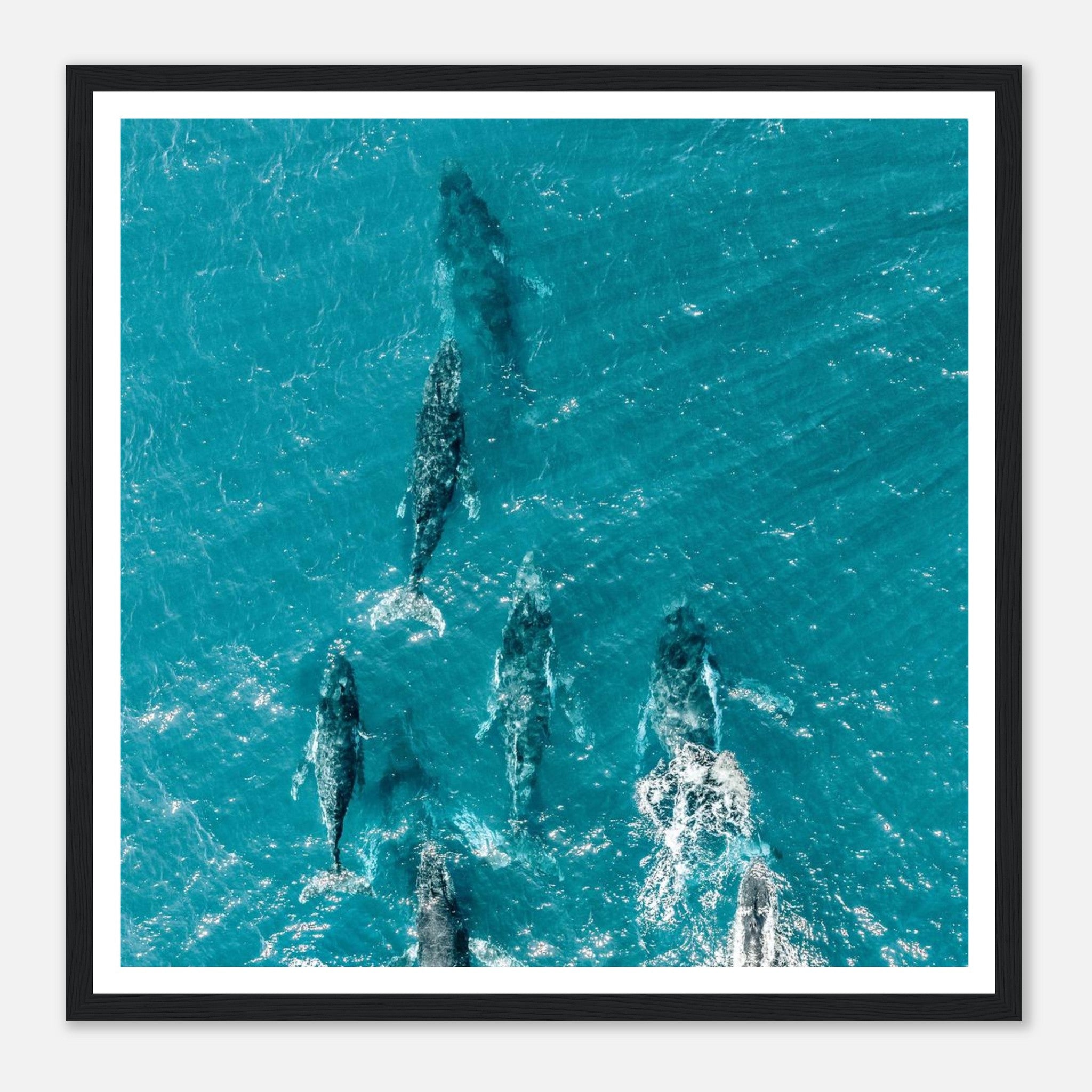 9164e3e2-b5d2-42f8-86b1-2785d3d8ea17