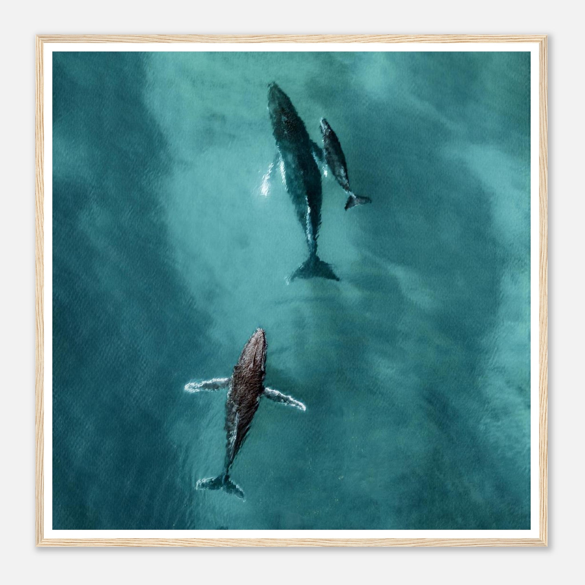 99b36712-5dcd-4155-8831-f2df6292f1bf