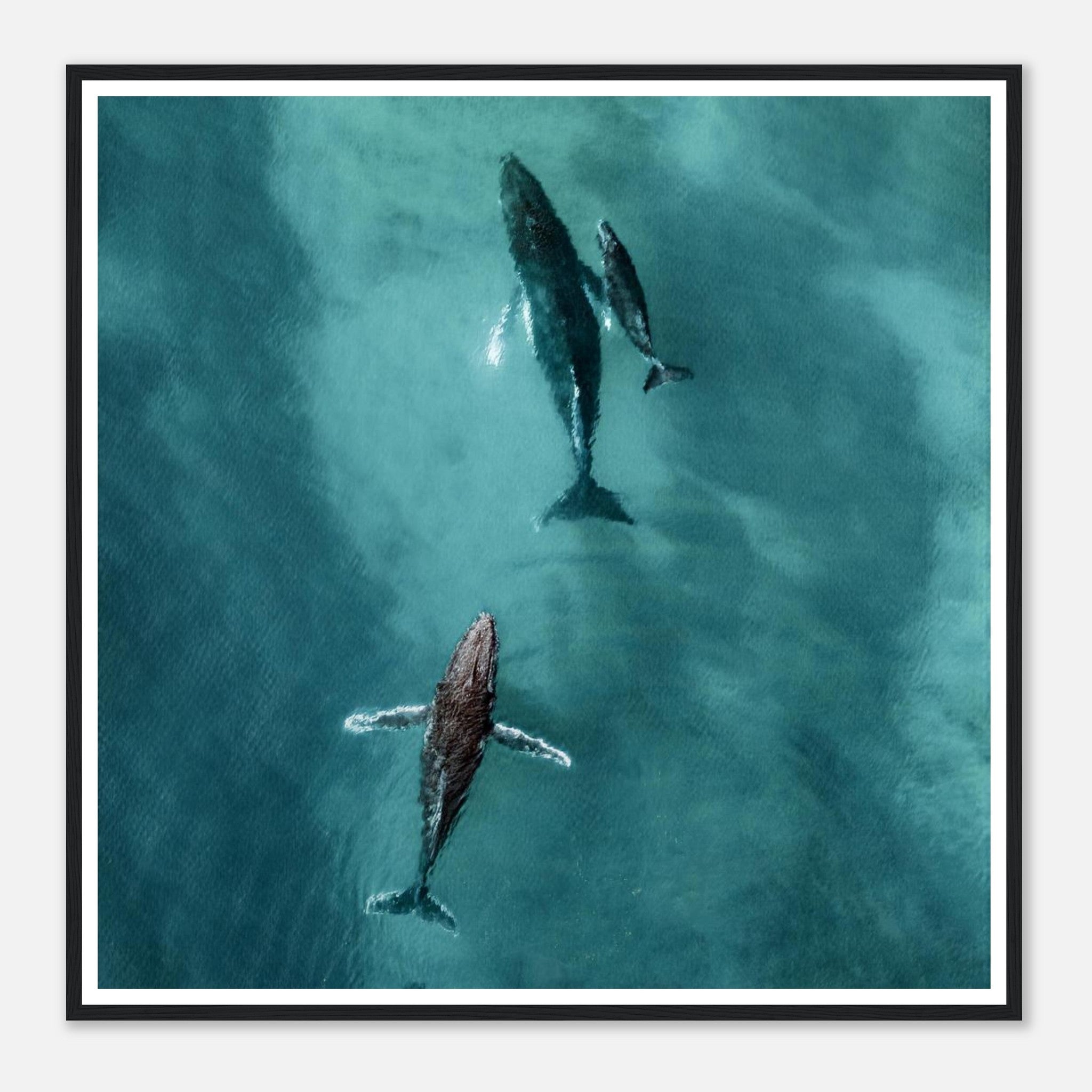 9b3881ed-bbae-4265-b72a-f997e00893bd