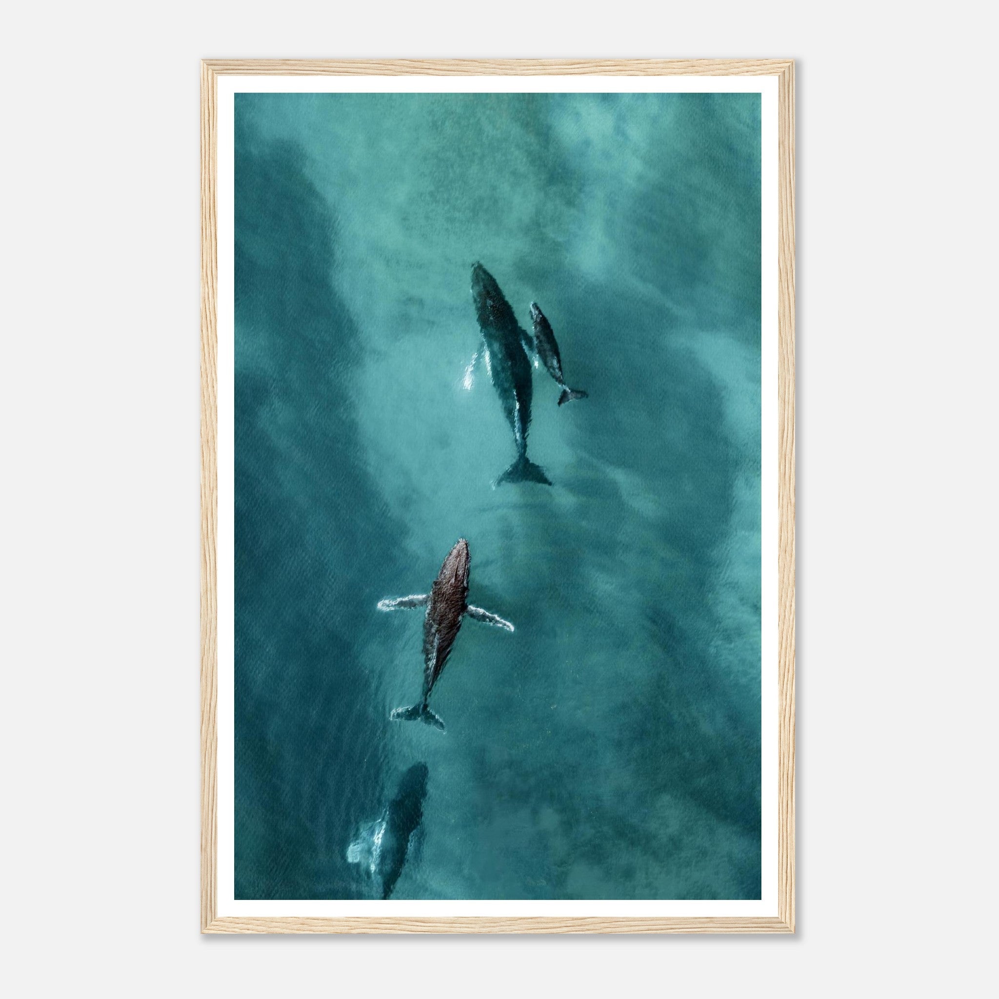 9f5d653e-6a51-4365-af6d-c1a1ce54a946