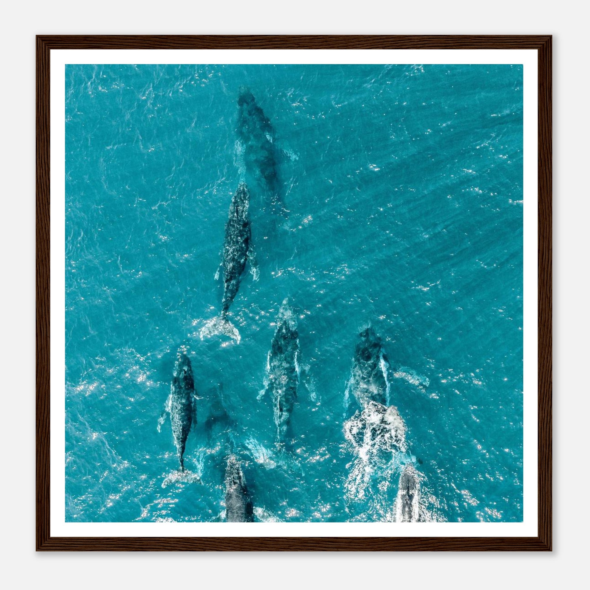 9f9d6e8e-bed6-496a-a6a6-f92312f1e6f3