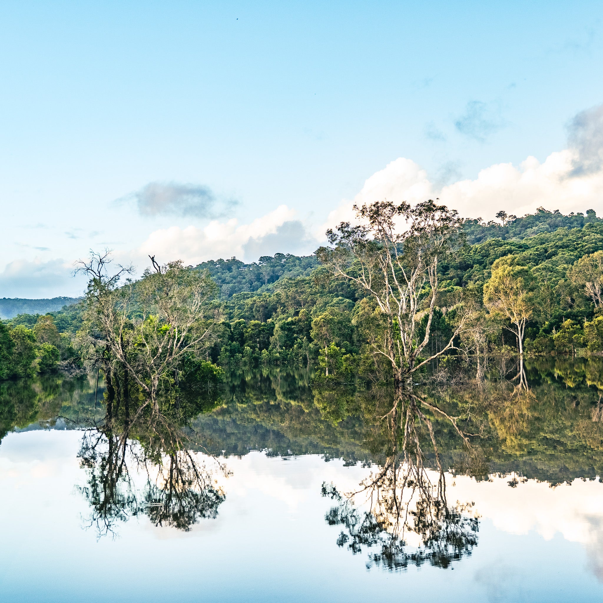 Yandina Flooded Photo
