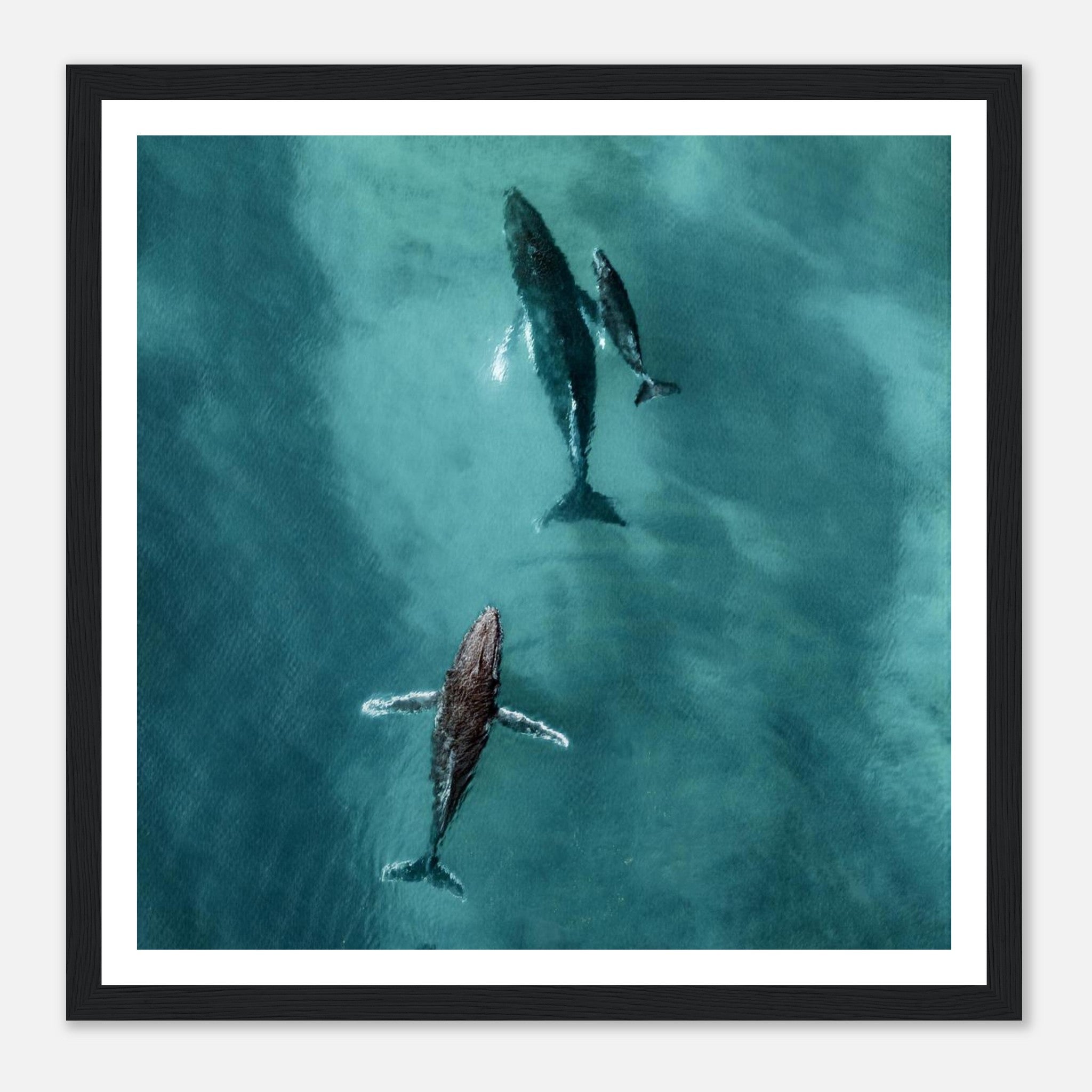 a031b1a2-44bf-49b1-b1d7-33c094f33b83