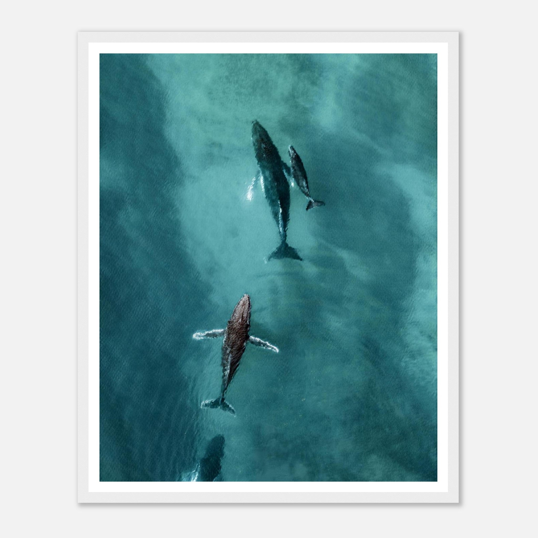 a1c9b8a4-818a-4740-af77-b1b23615e900