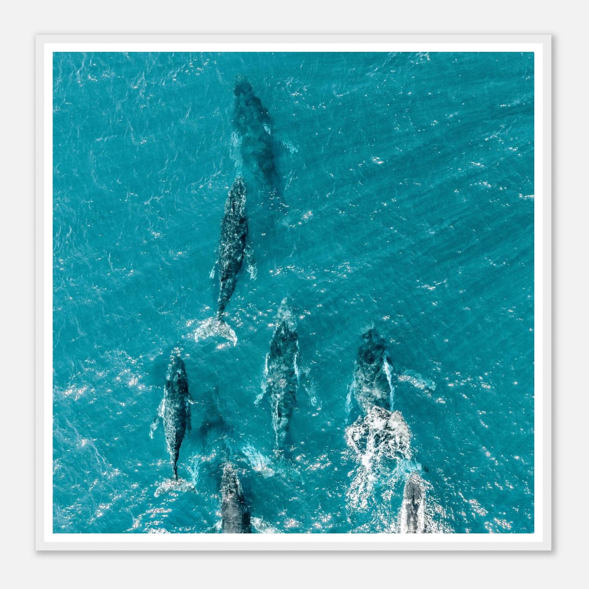 a36fed3e-0ec1-4374-b750-e78a38063dde