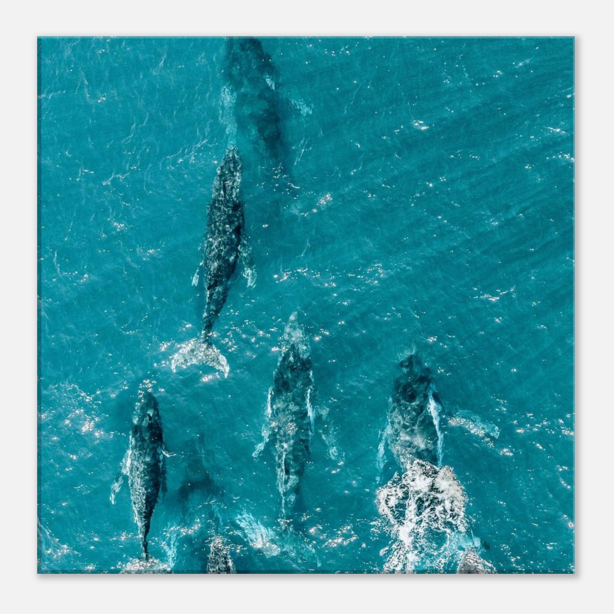 a5a33f8e-41ae-4e95-8124-5f580143cf18