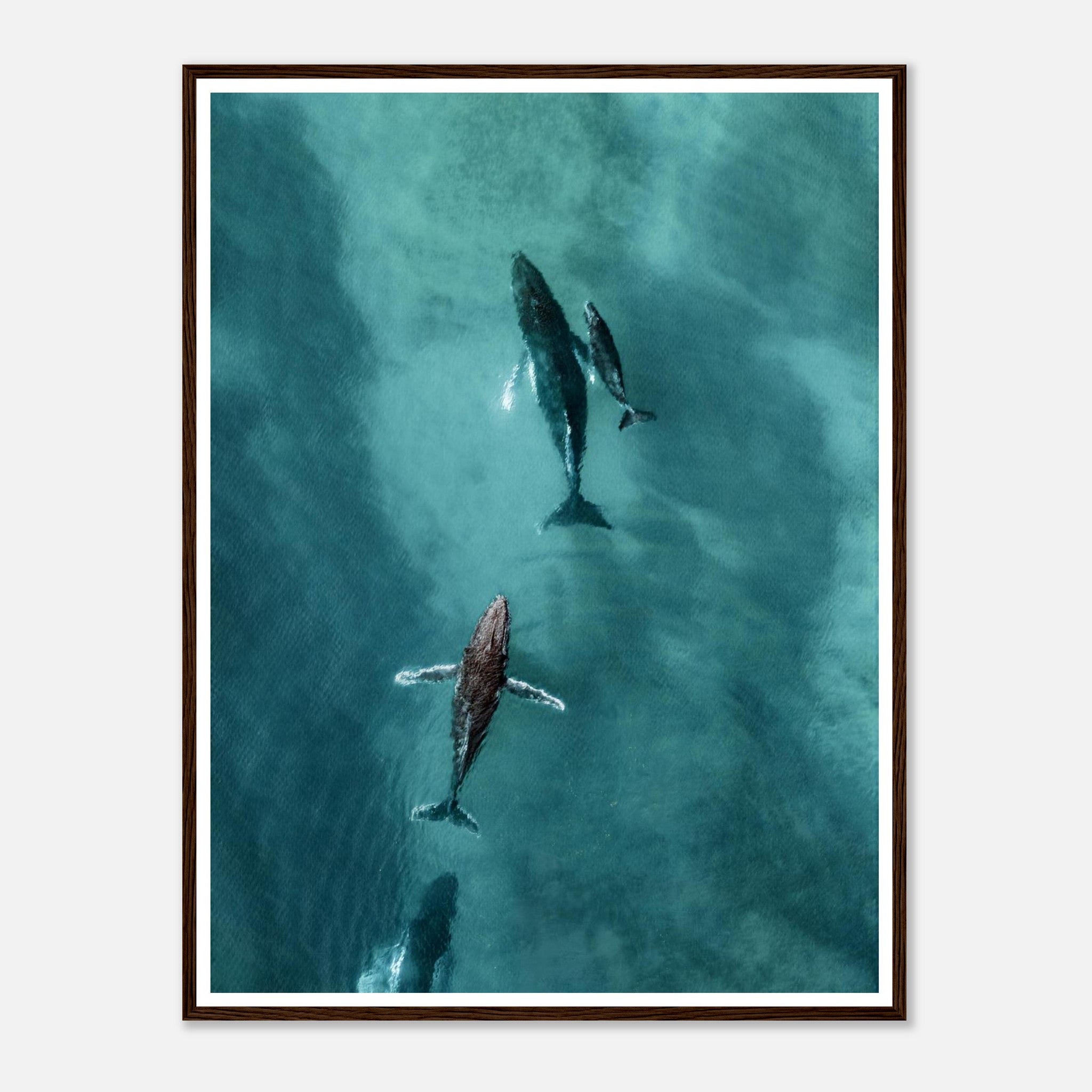 a8e7b211-3a8f-4d49-a0f5-1b2068ba39ff