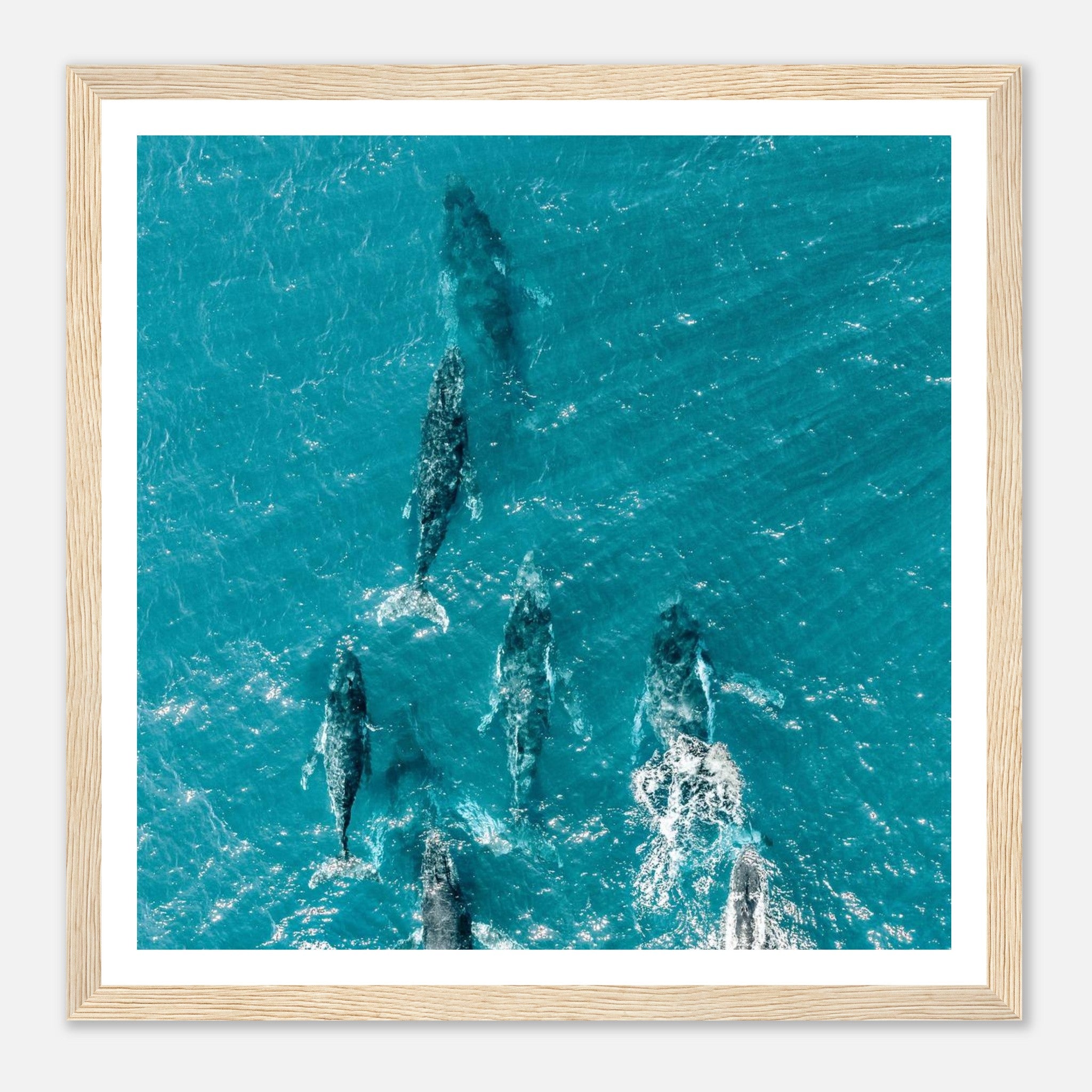 a975659b-5907-41bf-bdd5-c89eb6b19dbd