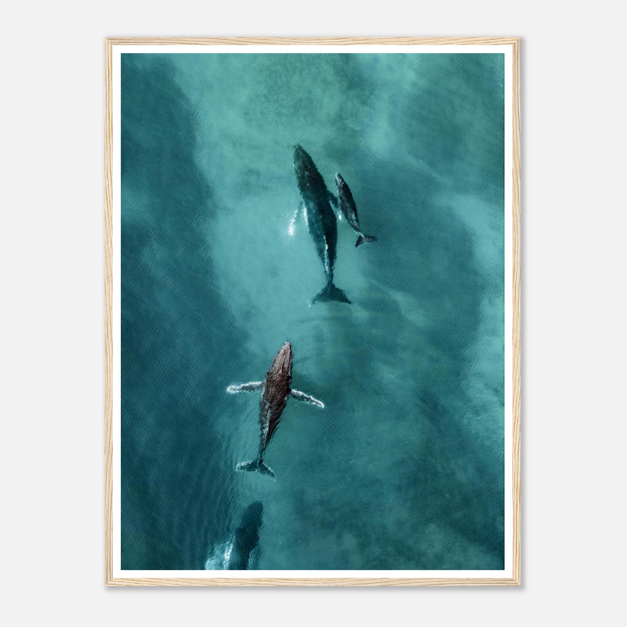 aaa93934-6f90-456f-a962-a04b3814ac1c