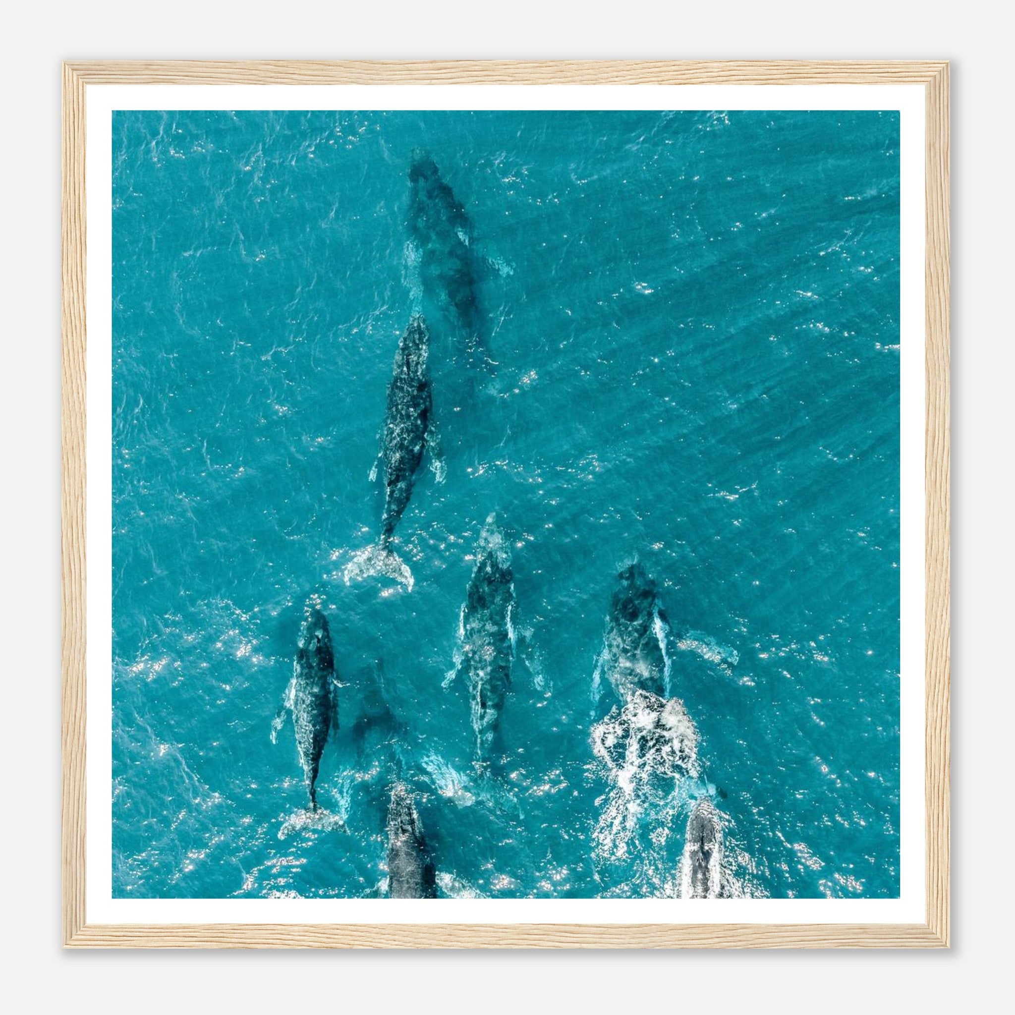 acbc4d5f-0bbc-4610-904c-5b1111bd03b9