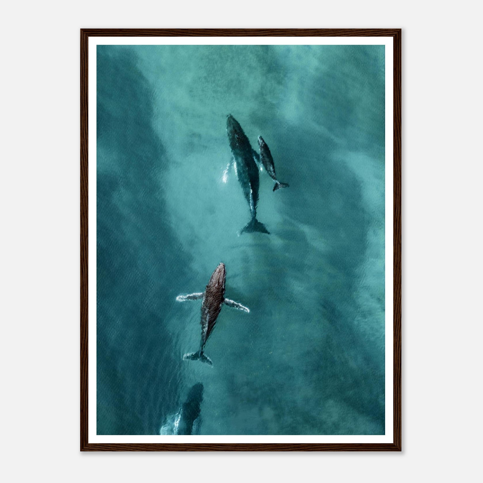 ad516afd-acbe-4c7d-9323-4875547b2bcb