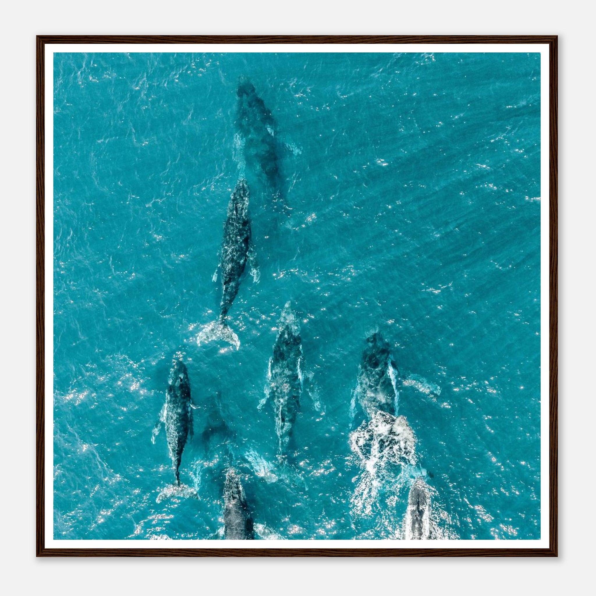 afb1d960-9a1d-4008-bdcc-cd879648e941