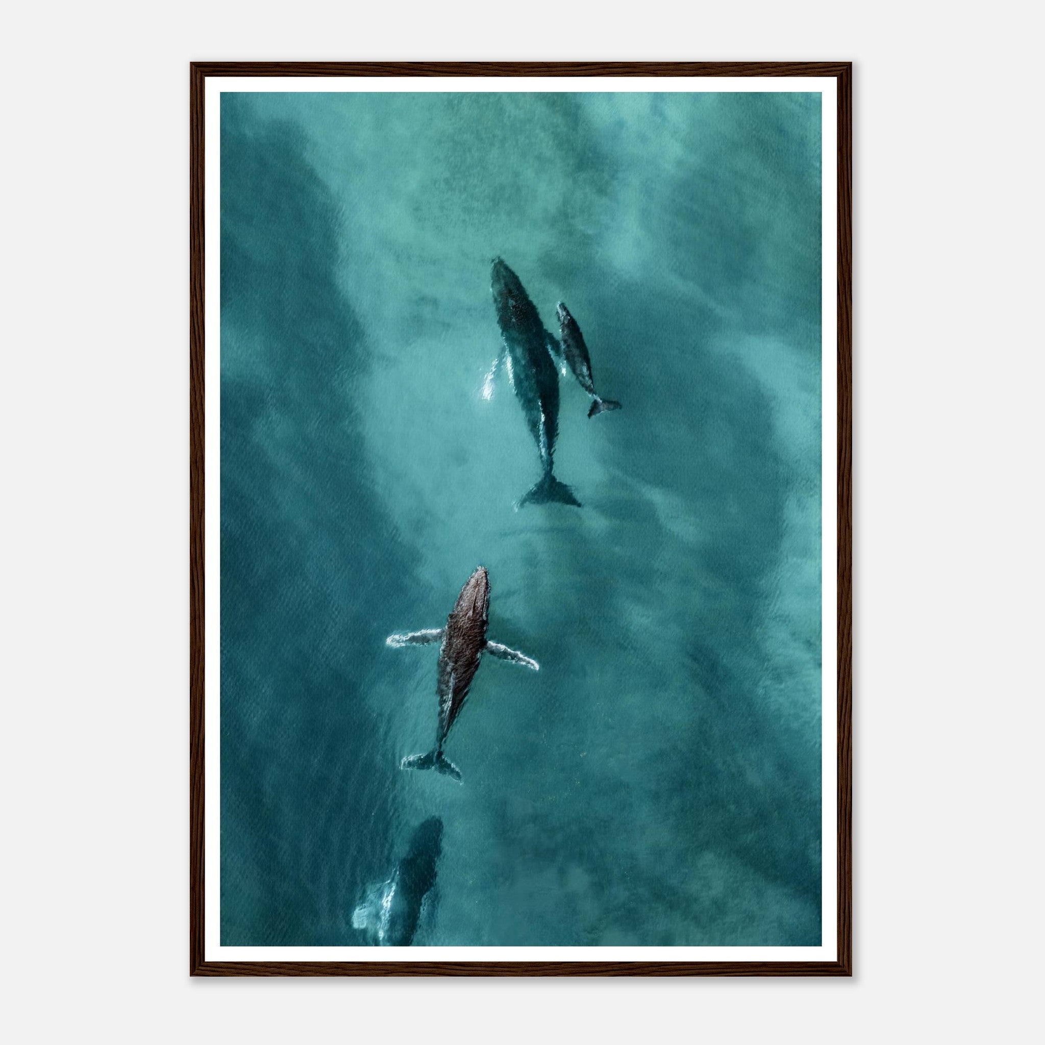 b2ca38f6-7bcd-497f-b486-6e0f2a6a170f