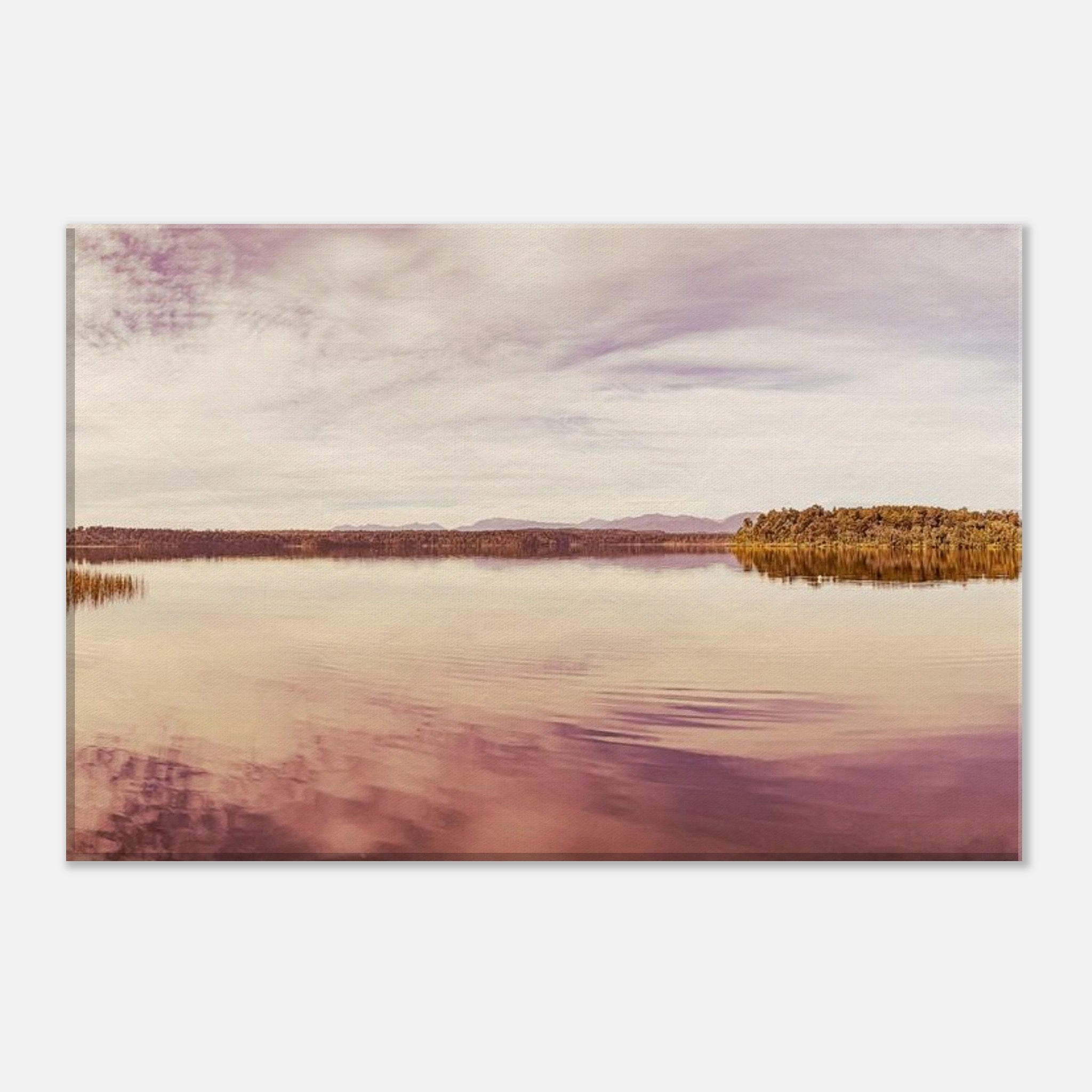 b50fdebb-2545-4098-84e8-ce6f7b35419e