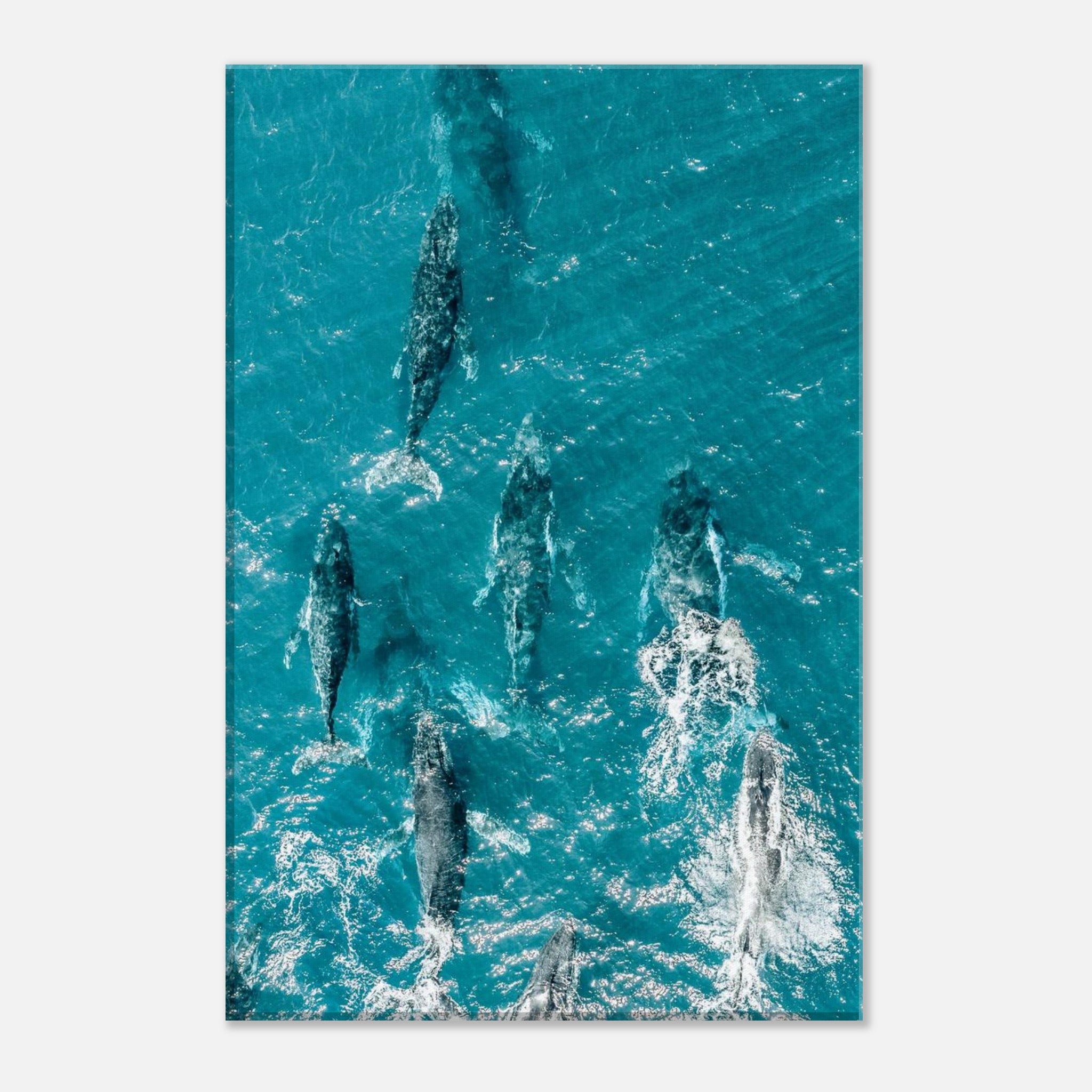 b5b0c52b-a5b0-4e64-b32c-1bb2478e7f99