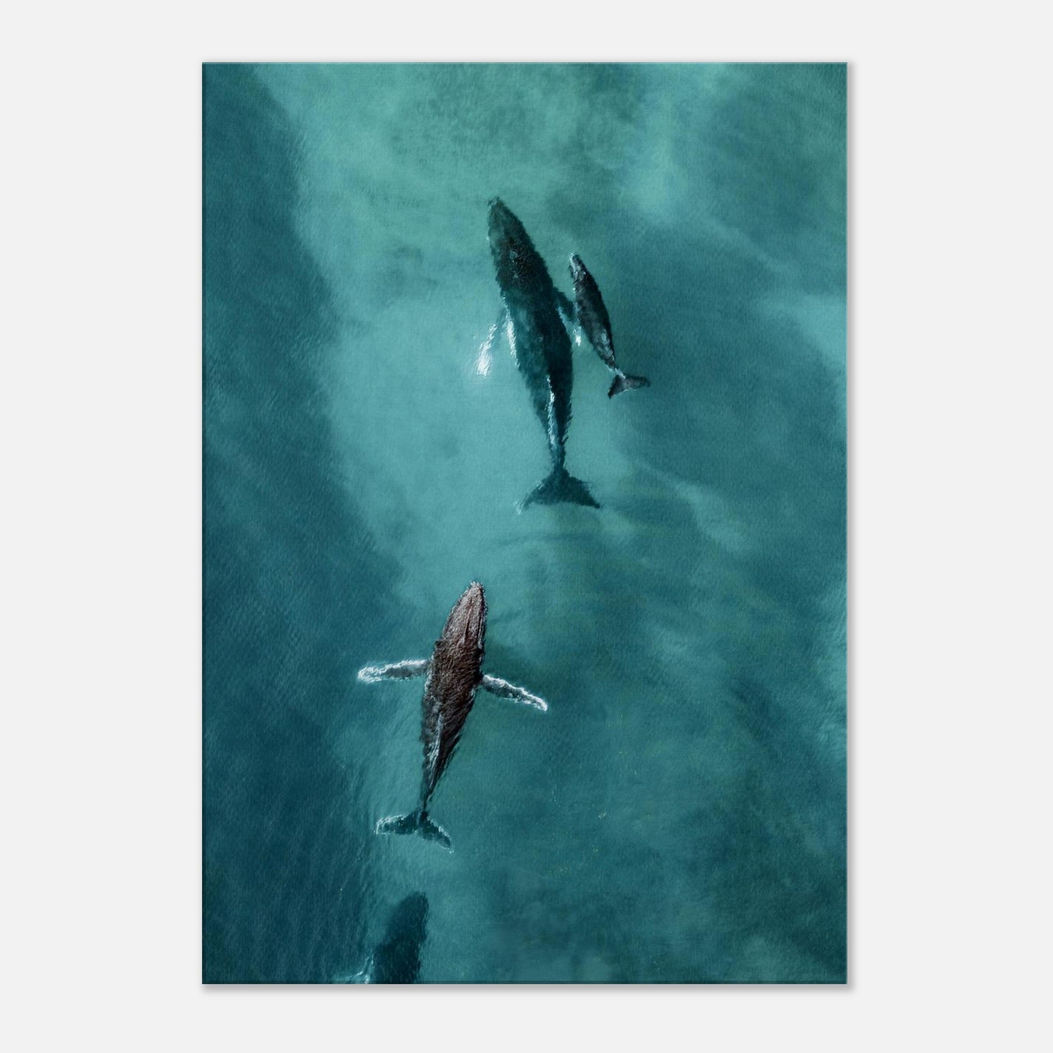 b85cee13-f02e-43bc-a255-7bd8eec19875