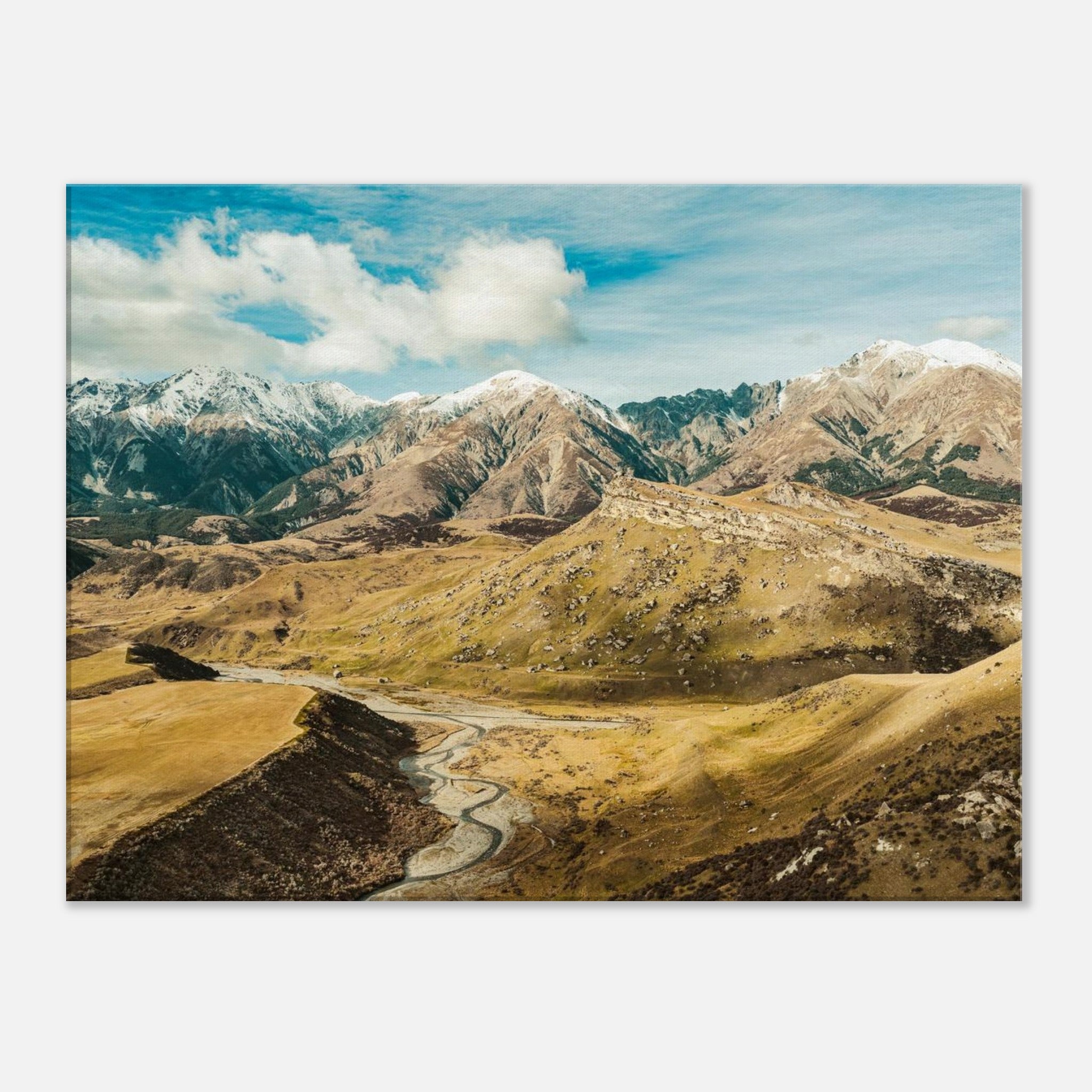 b8df3533-01d5-42e1-a00d-4e2723e9aade