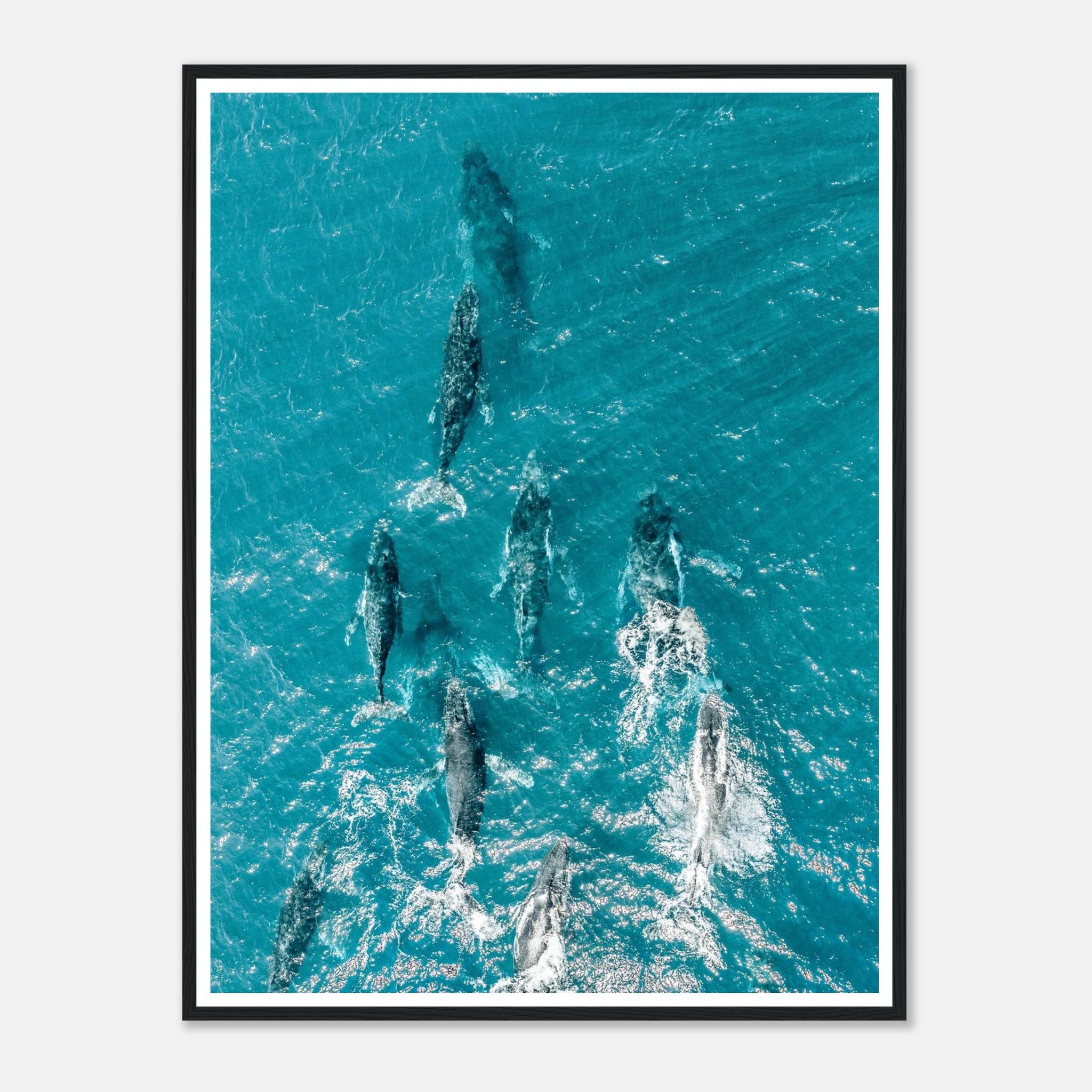 ba2f45f5-fdc2-40ff-b216-13ebe3bac110