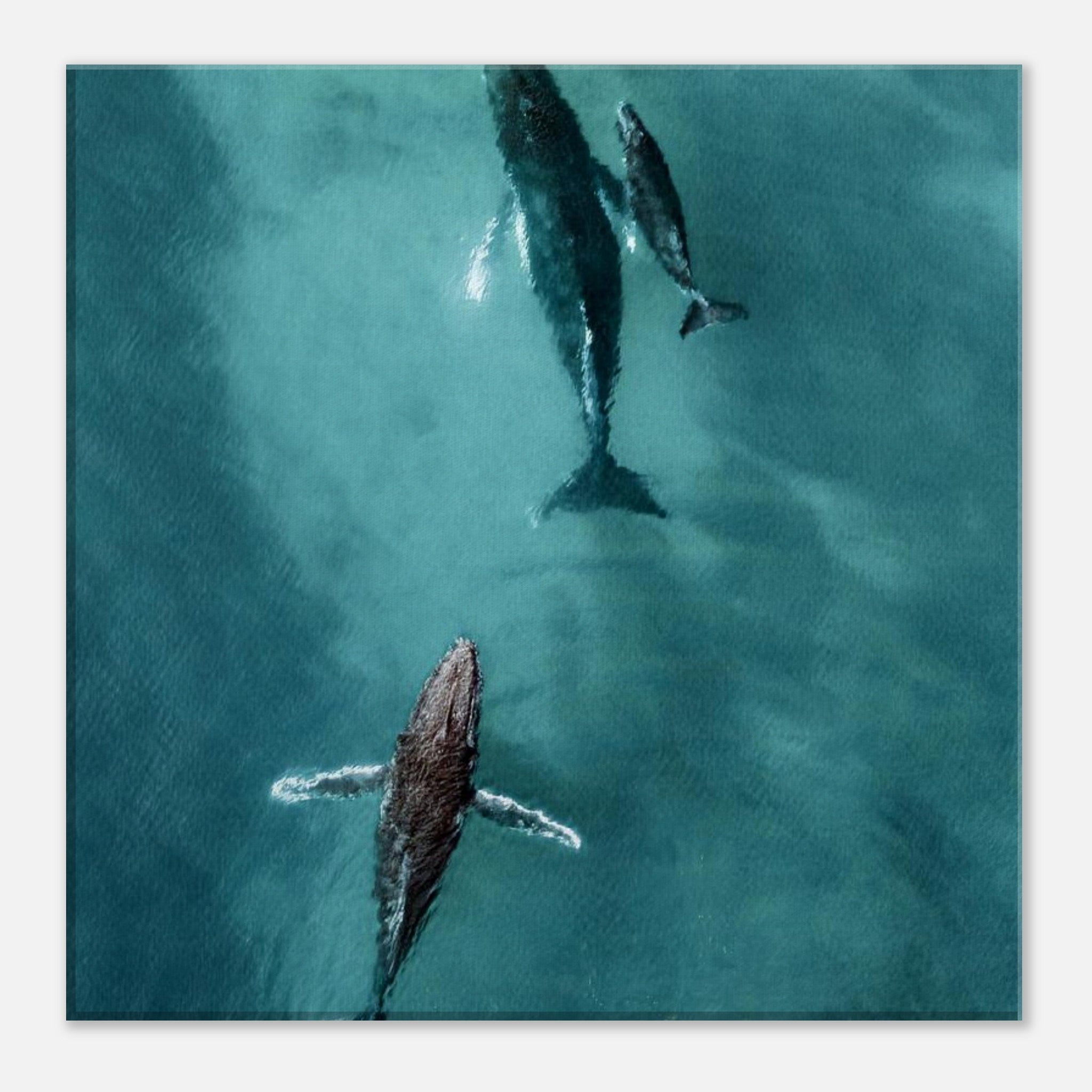 bd782150-aac5-4b82-8f45-5eaa2a879662