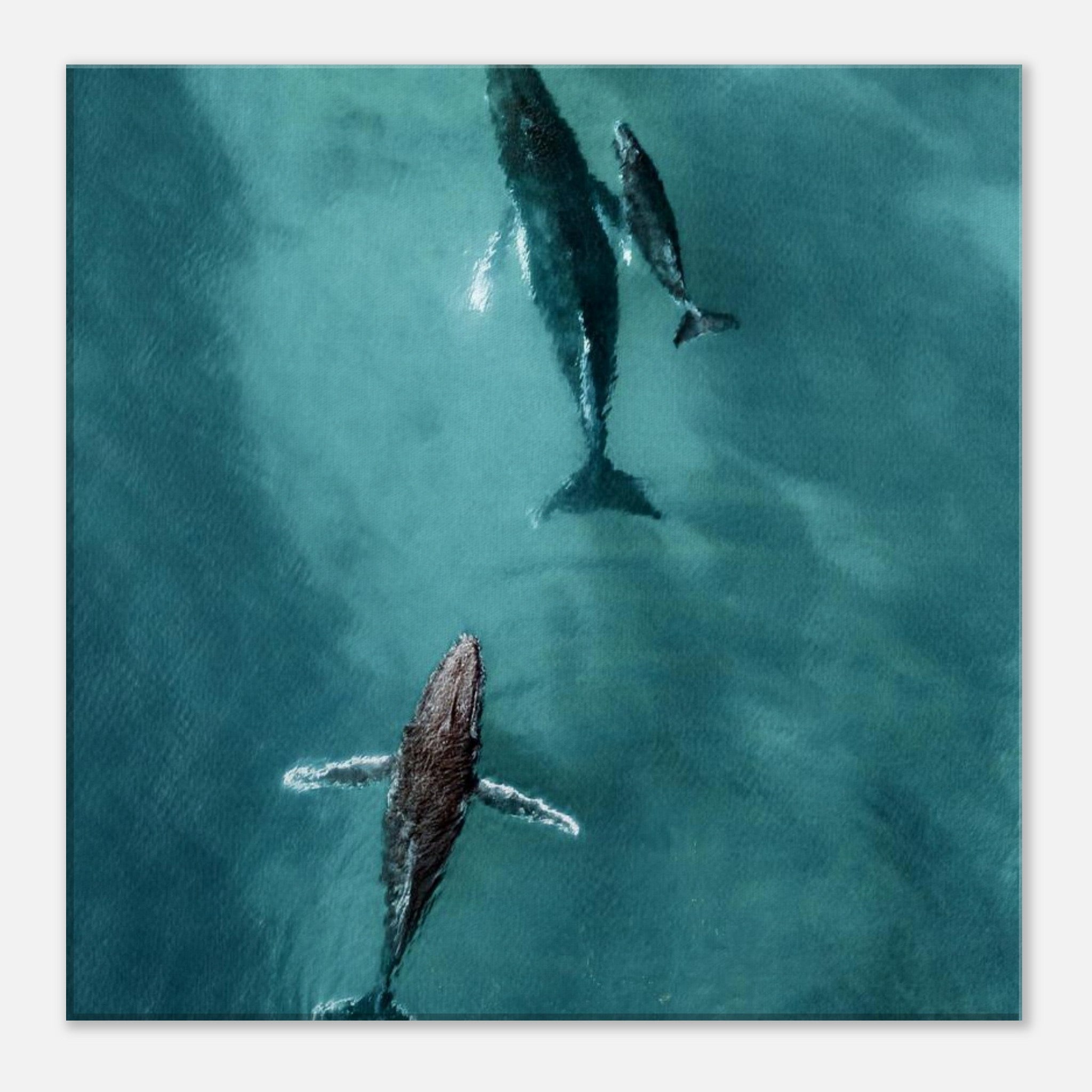 c22bb671-b7e0-4991-bda8-8c0e94d5b301