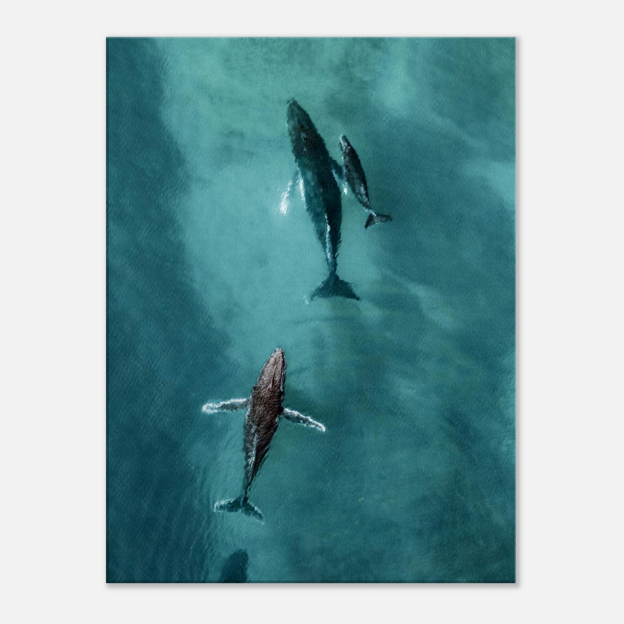 c3048a35-8110-4168-8d14-15438245e27f