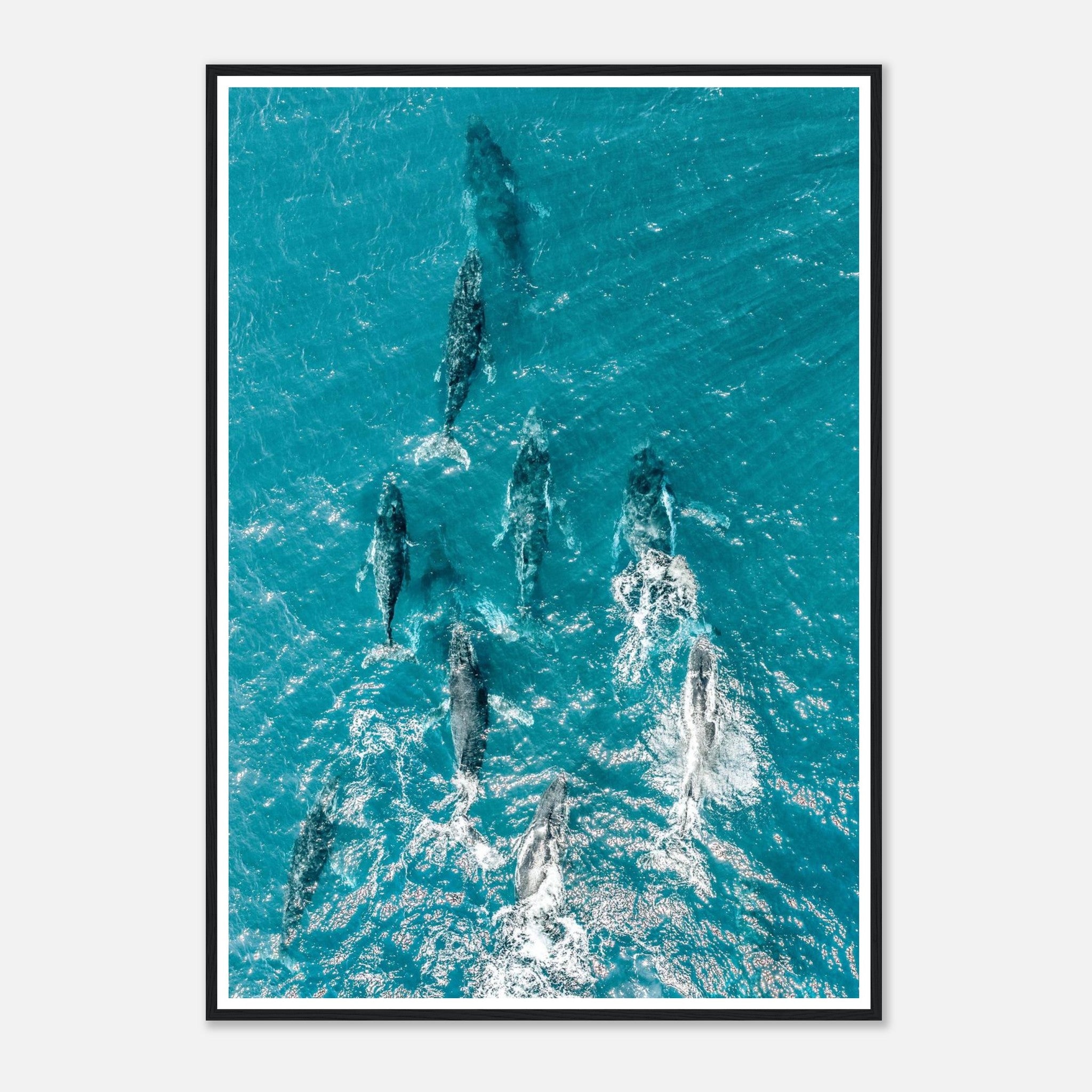 c3e19c3c-5112-408e-a5d7-b60983f2f538