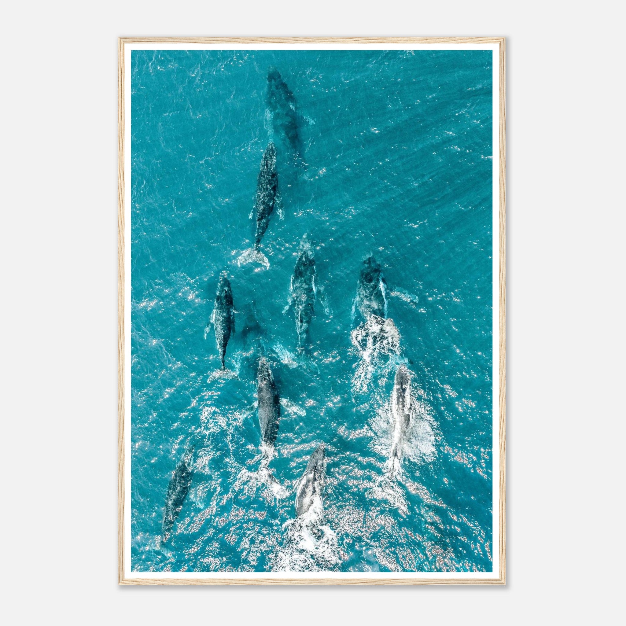 c4ebba09-bd55-4d42-aee0-39c37a461644