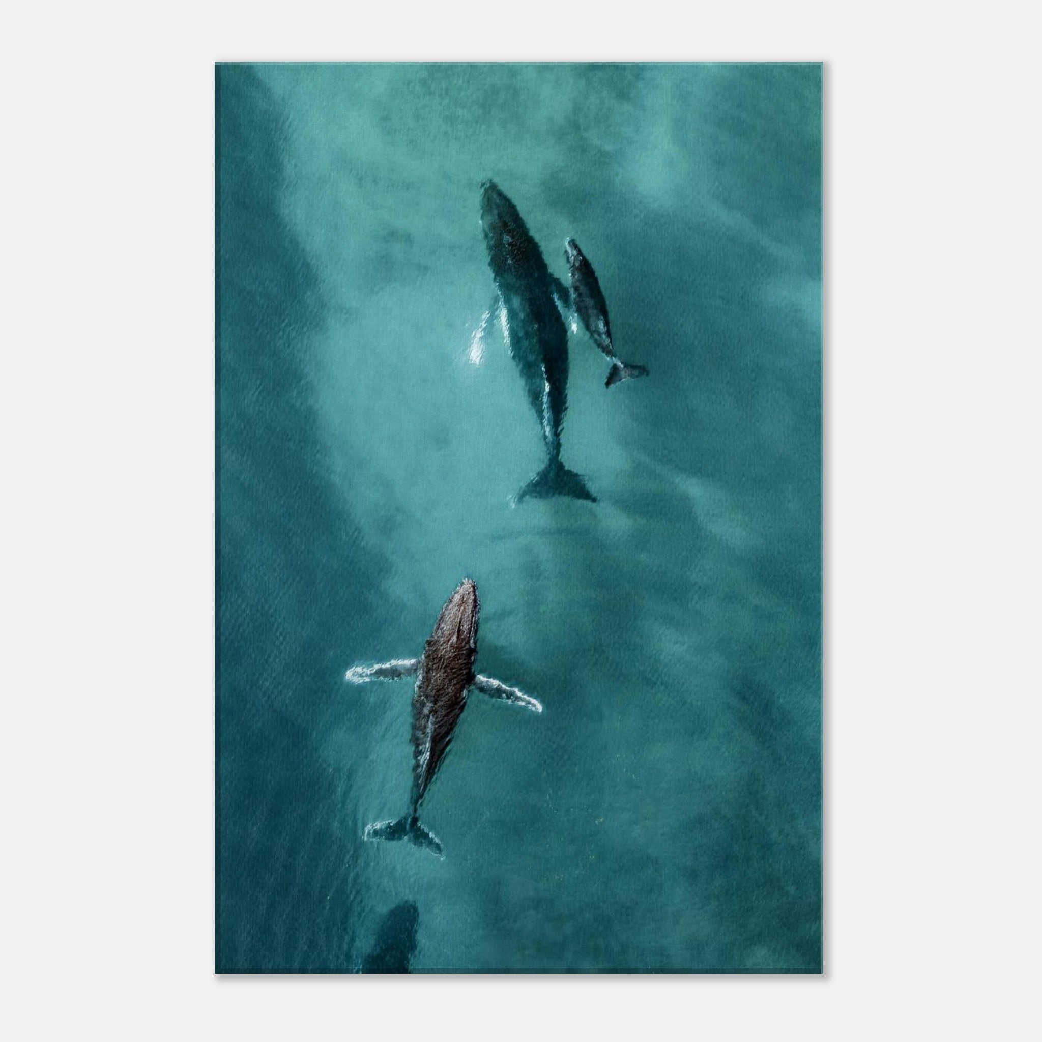 c58498a9-d129-4d14-894c-9b0a51d0e00e