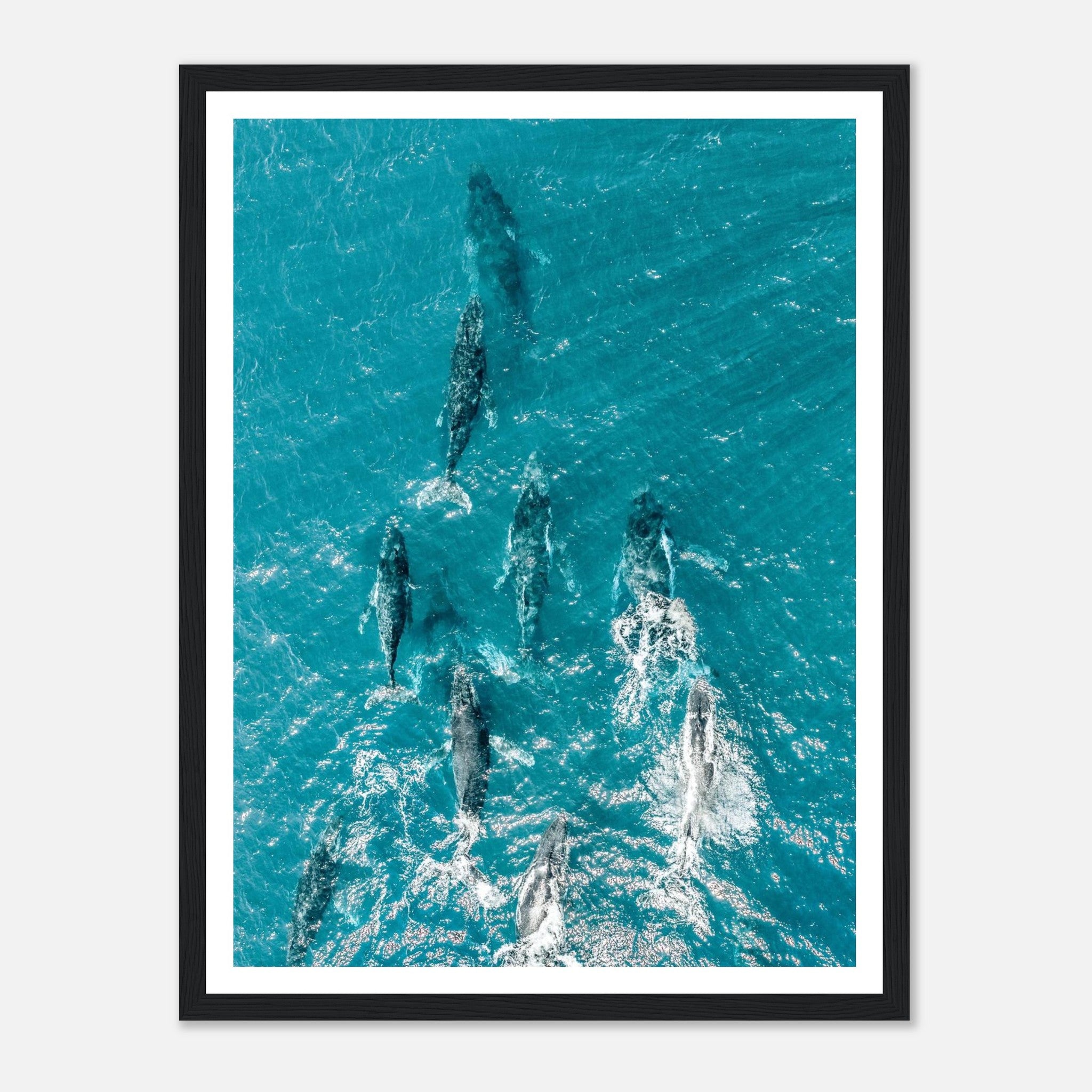 c6e7a2a4-9942-40af-bfc1-bbbed932a990