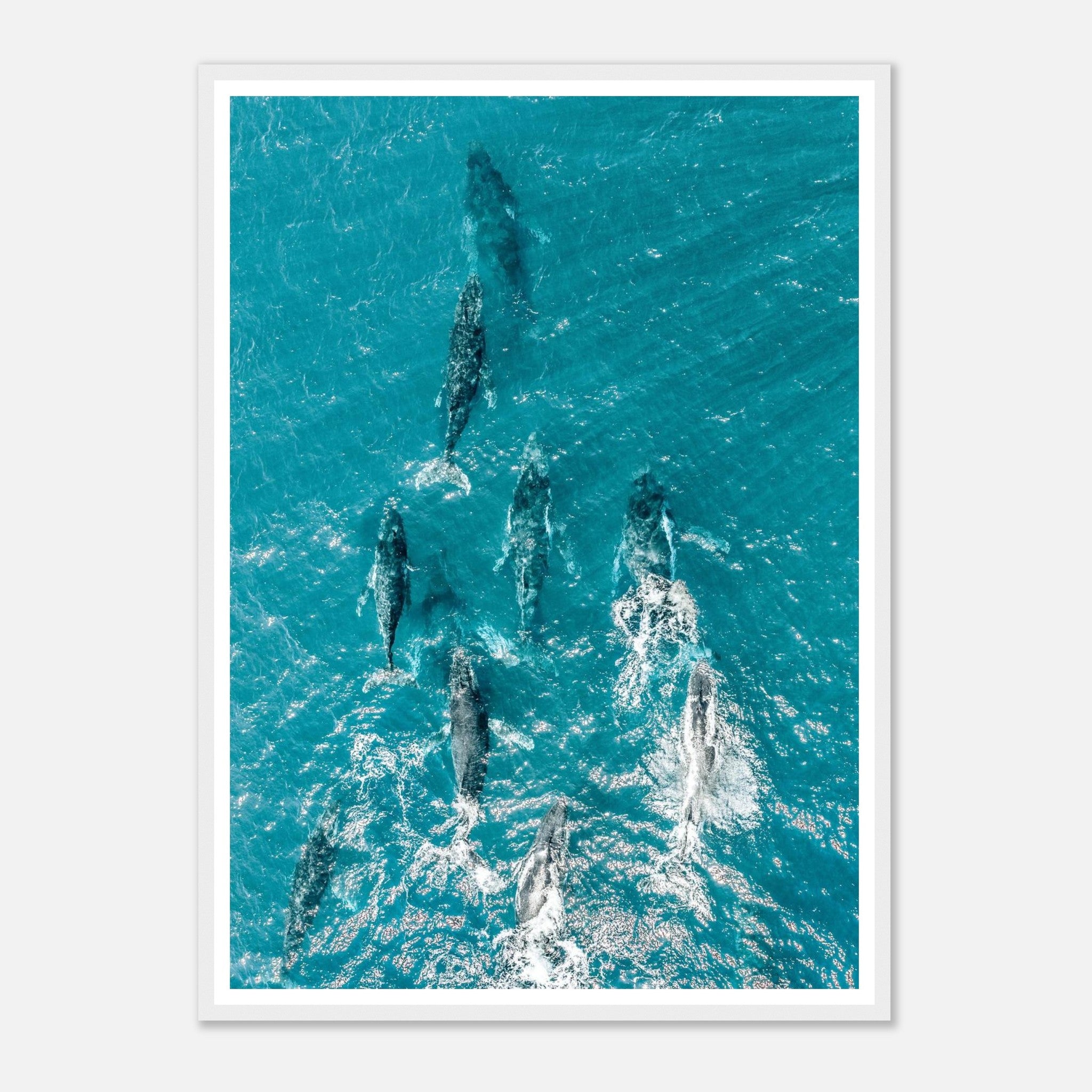 ca63be26-a3fb-446b-8213-bf420a07c8d7