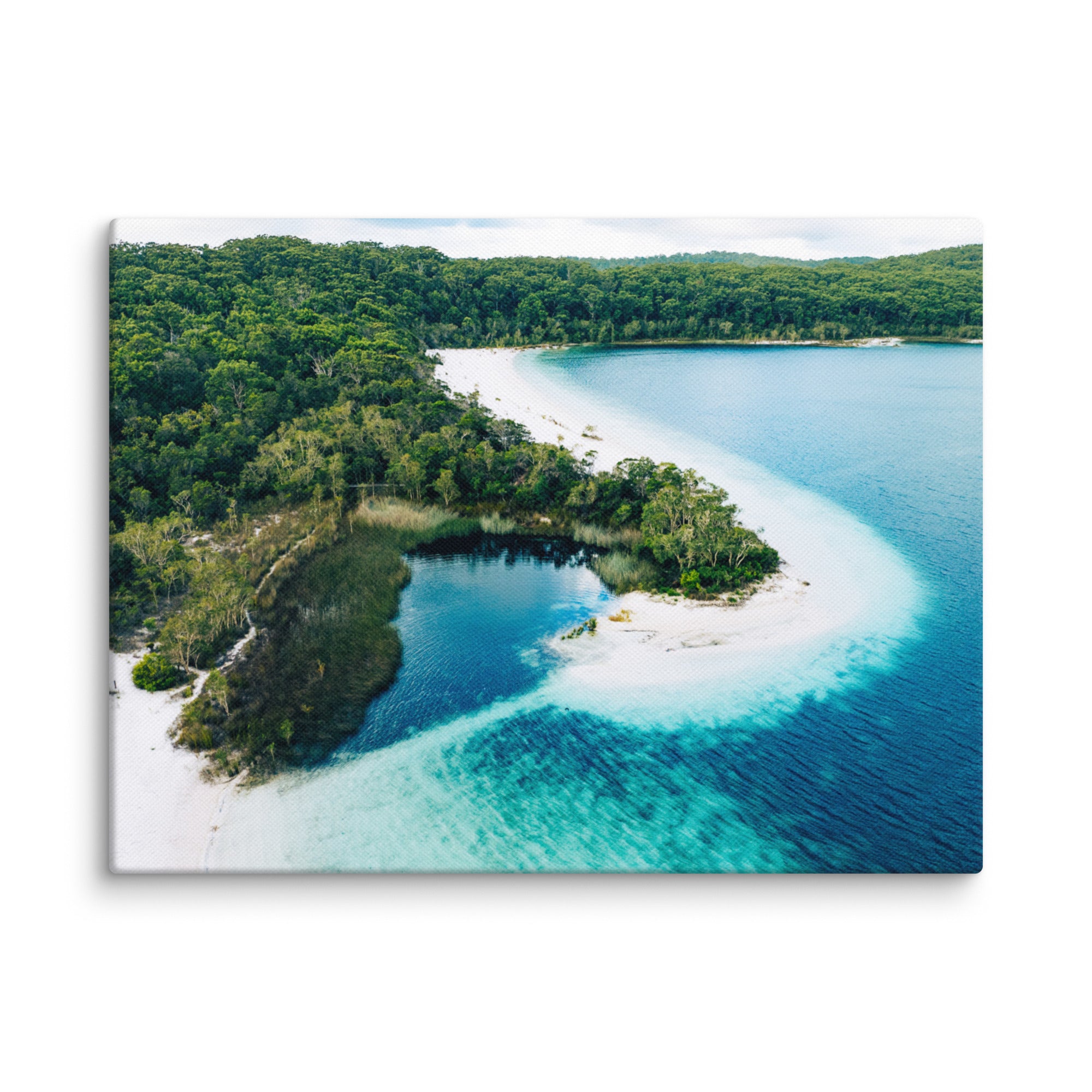 Lake McKenzie (Boorangoora) - 1116