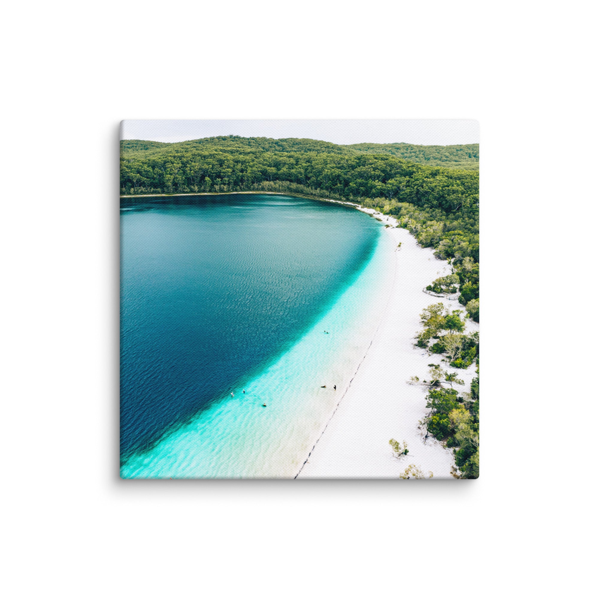 Lake McKenzie (Boorangoora) - 1115