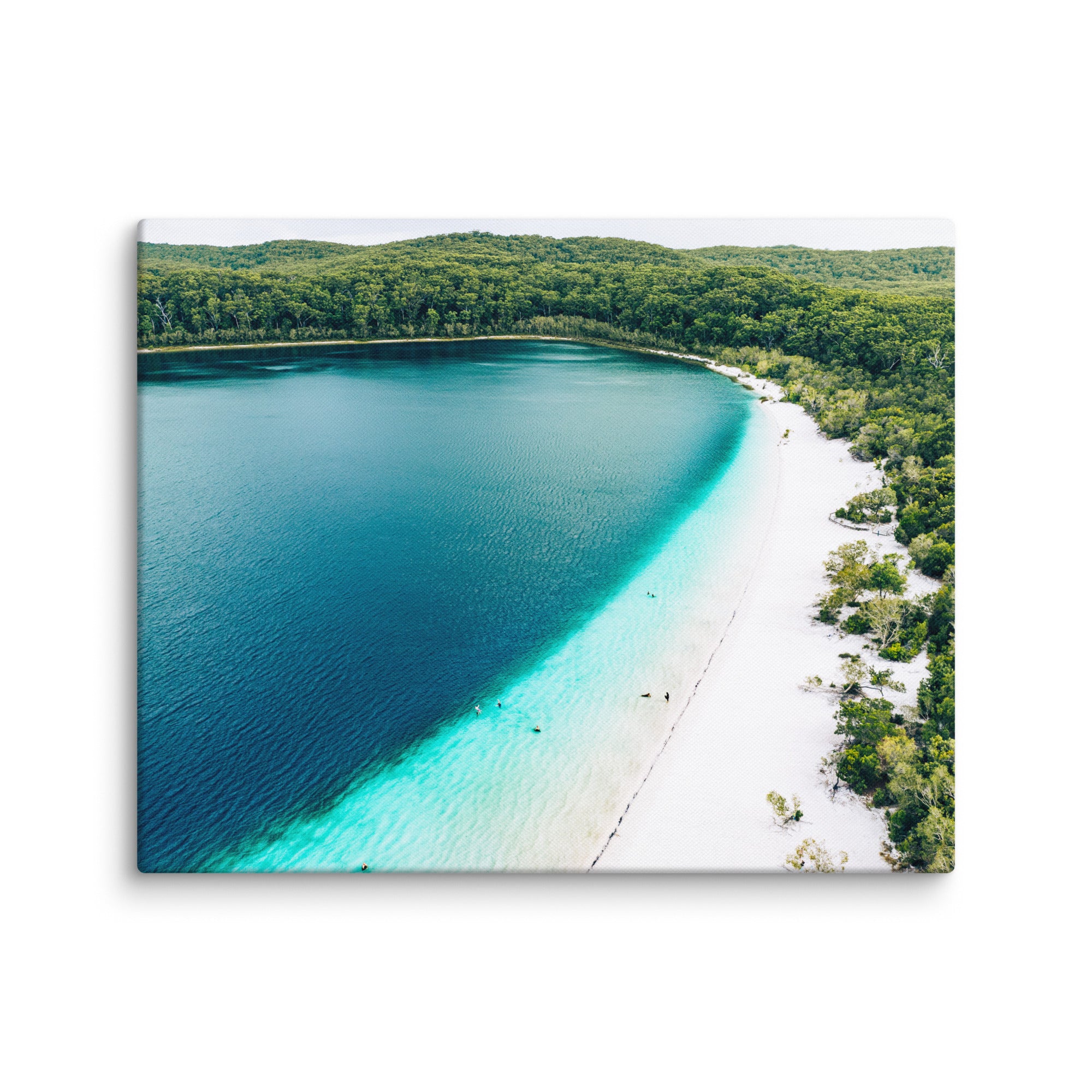 Lake McKenzie (Boorangoora) - 1115