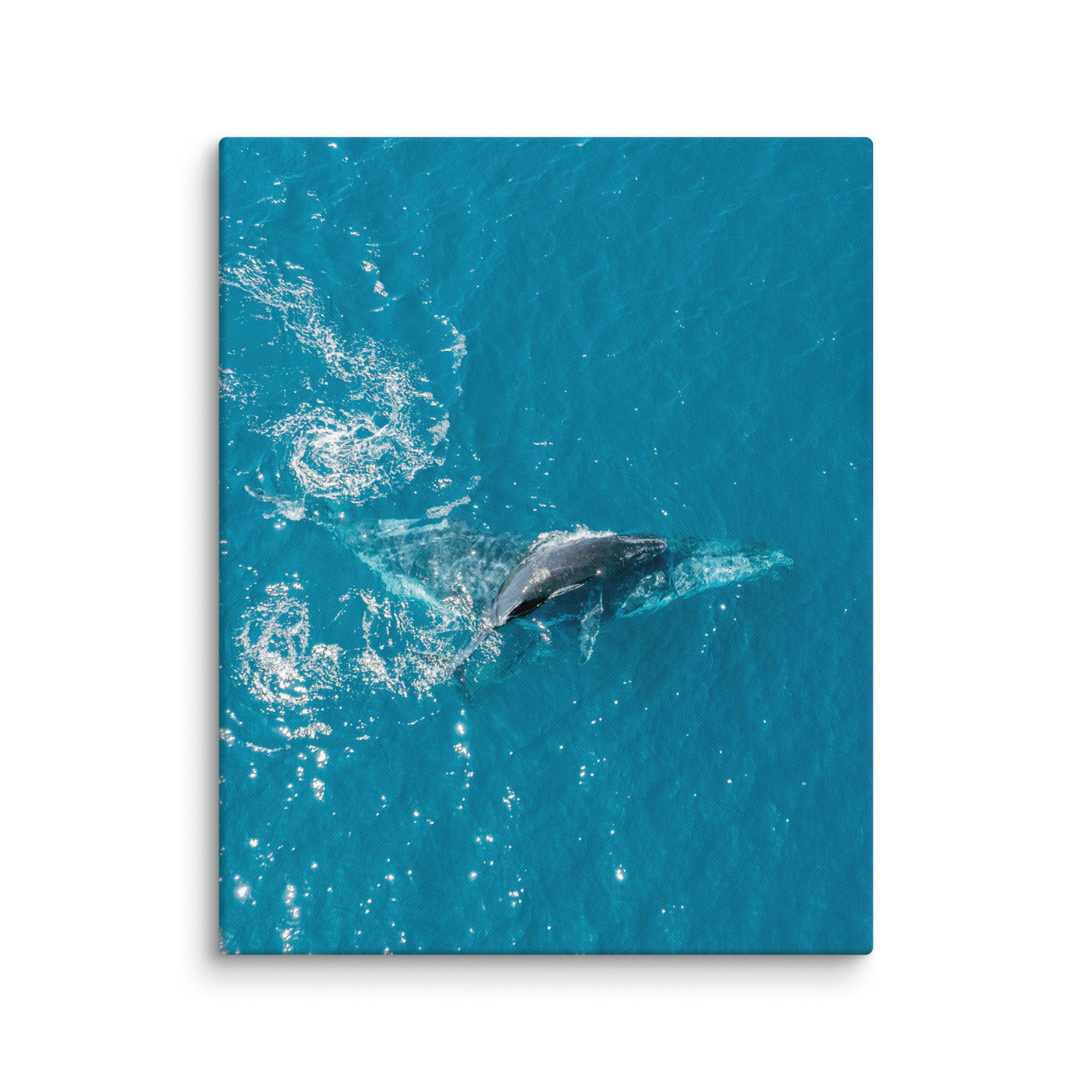 Mother & Baby Whale - 1191