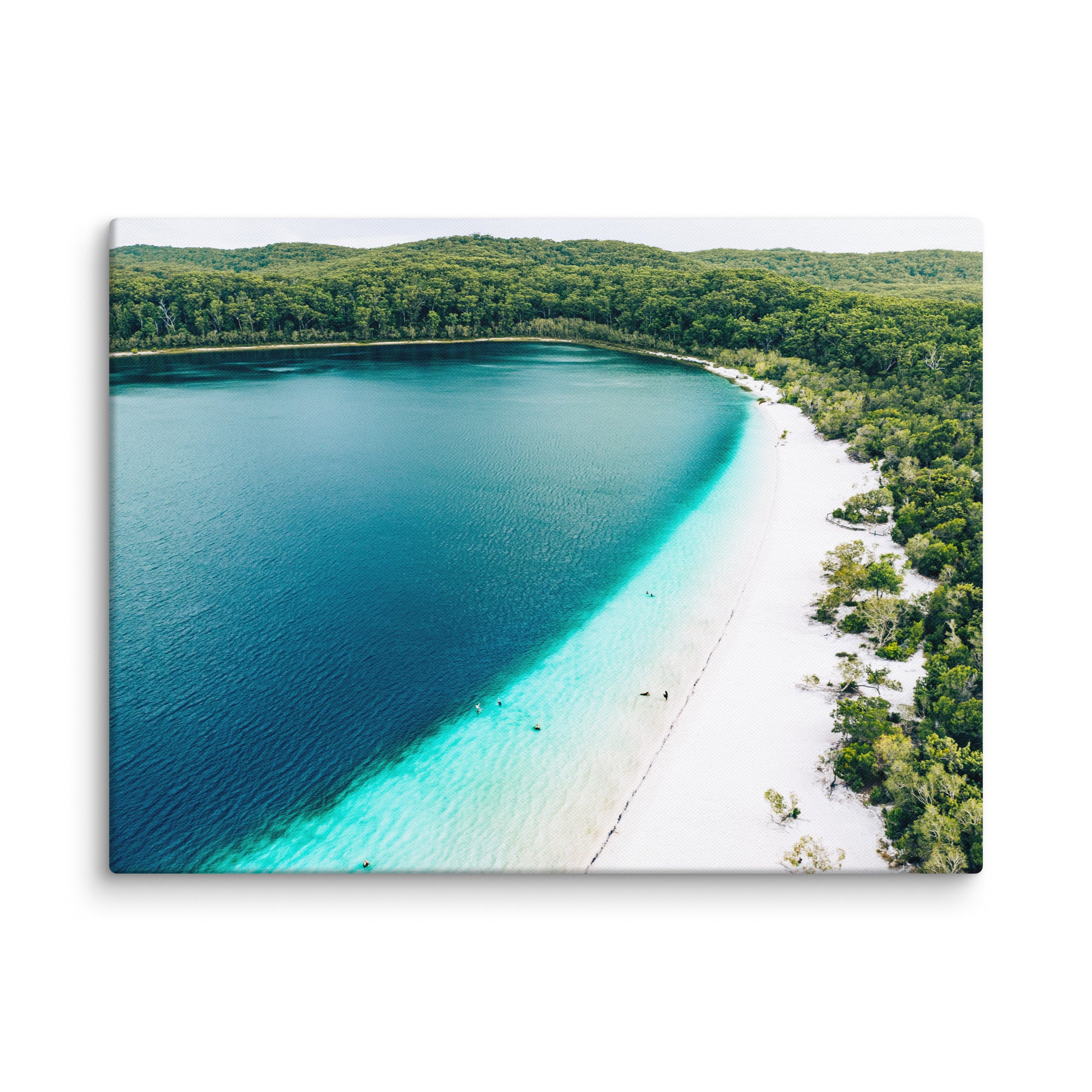 Lake McKenzie (Boorangoora) - 1115