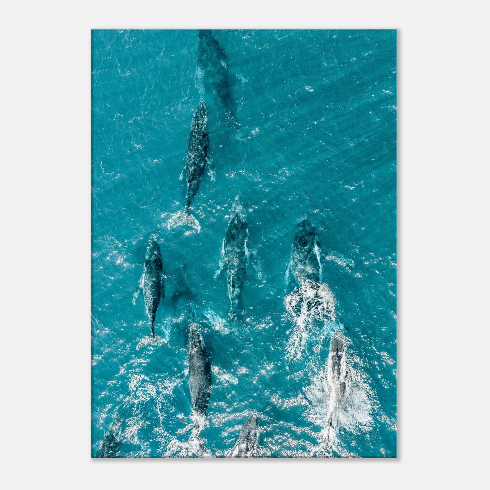 ccc7301c-cb6f-4f8e-8f8d-ec2ca1f8ffab