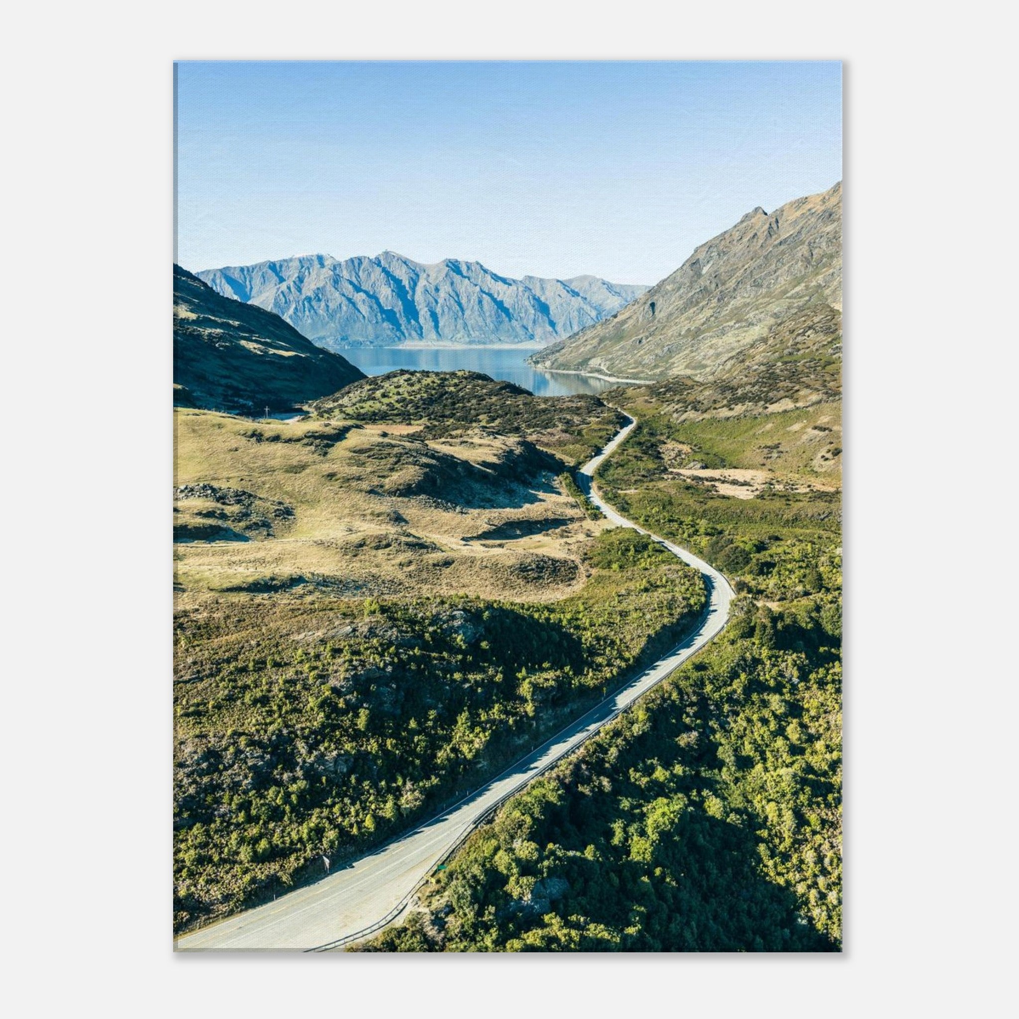 cd2d62d6-84f6-4a87-b7dd-857b17b45c33