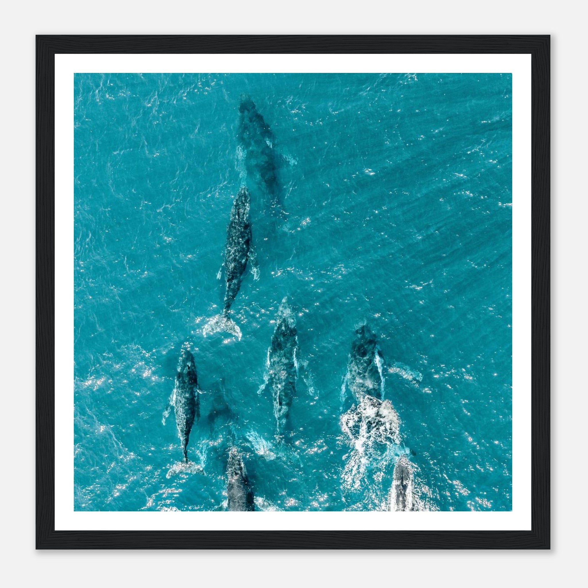 cd72836a-10a2-4954-aa37-9266930cc1d3