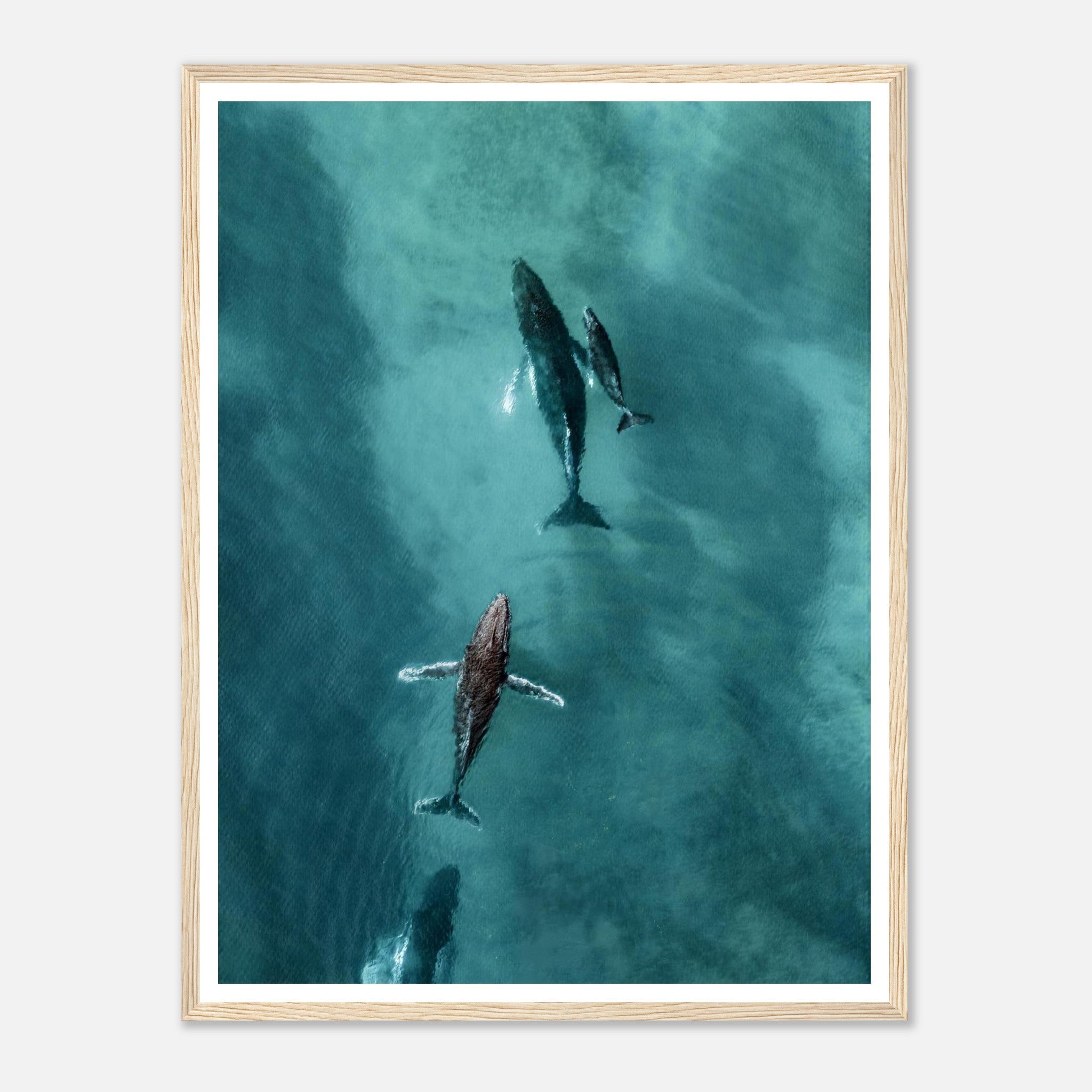 ceb25c13-89da-4e4a-93ab-7b40550b20fe