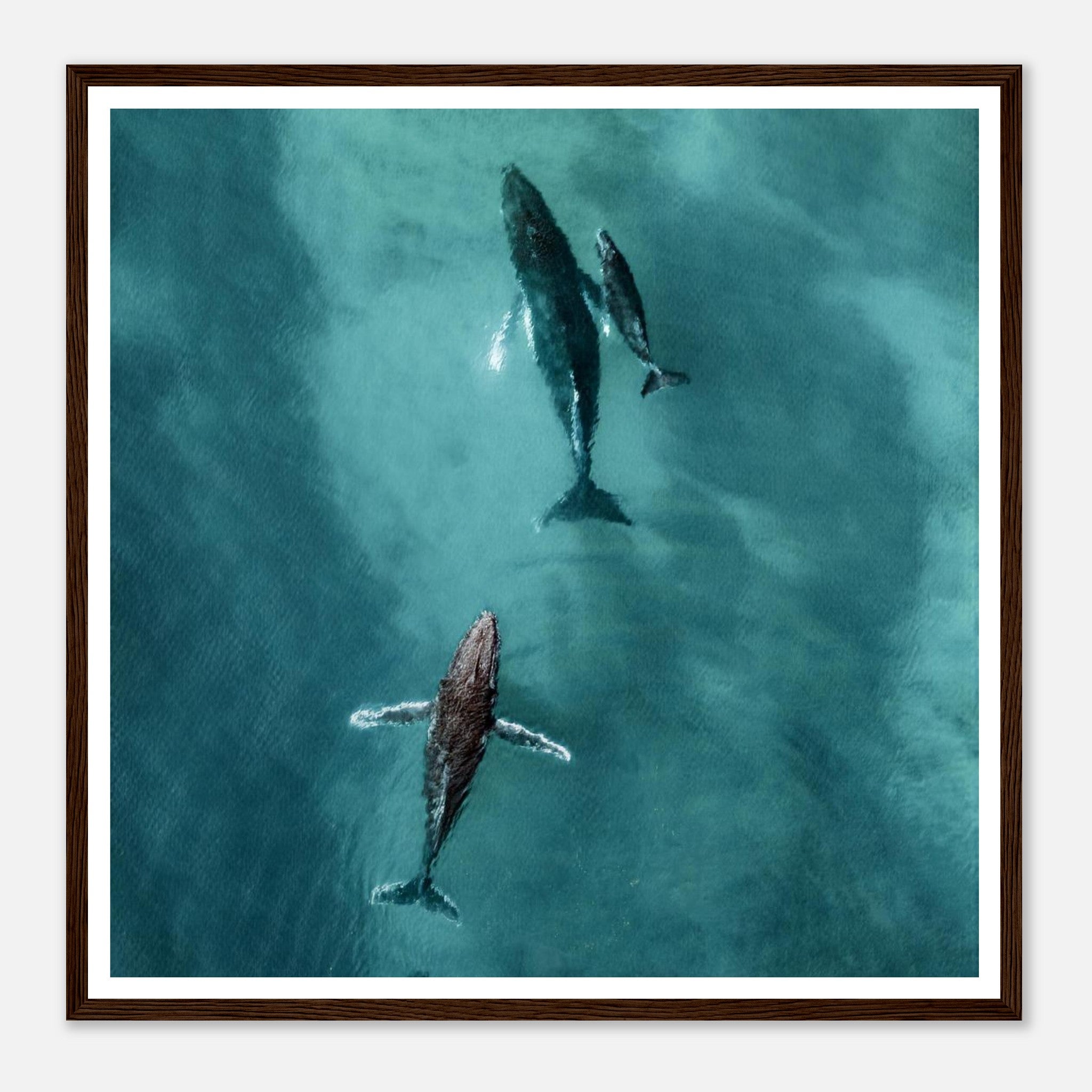 d03e5da6-32de-4c2c-88f7-76ac6620967a