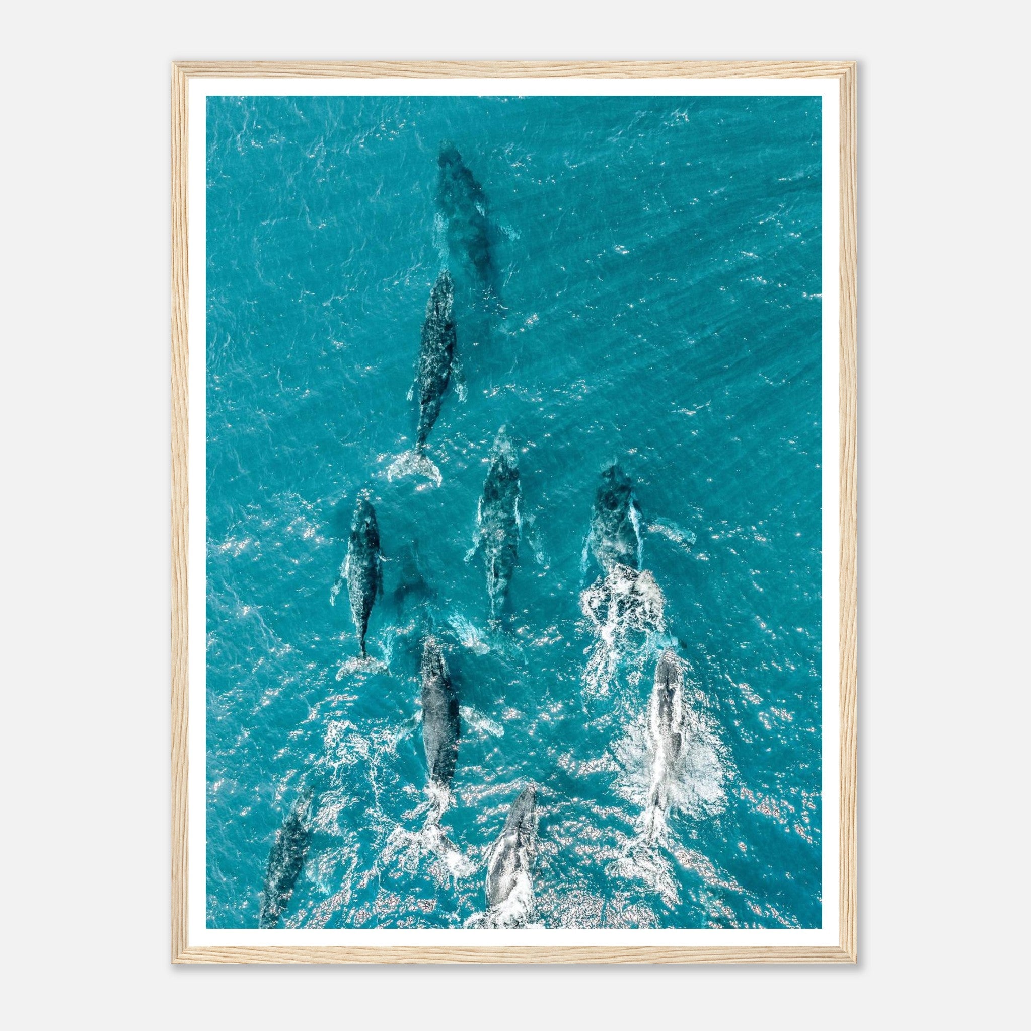 d138e2d8-7905-4598-9630-5d3b4b66b12b