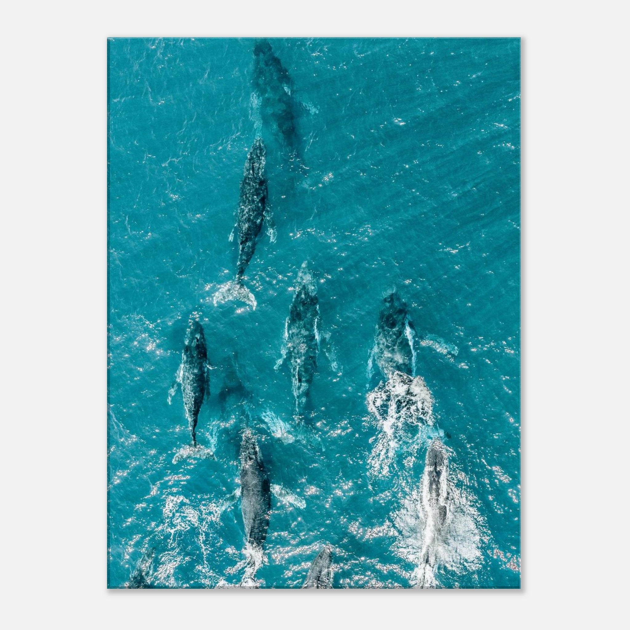 d24fbe1b-3339-49f6-938b-ed687c146e42