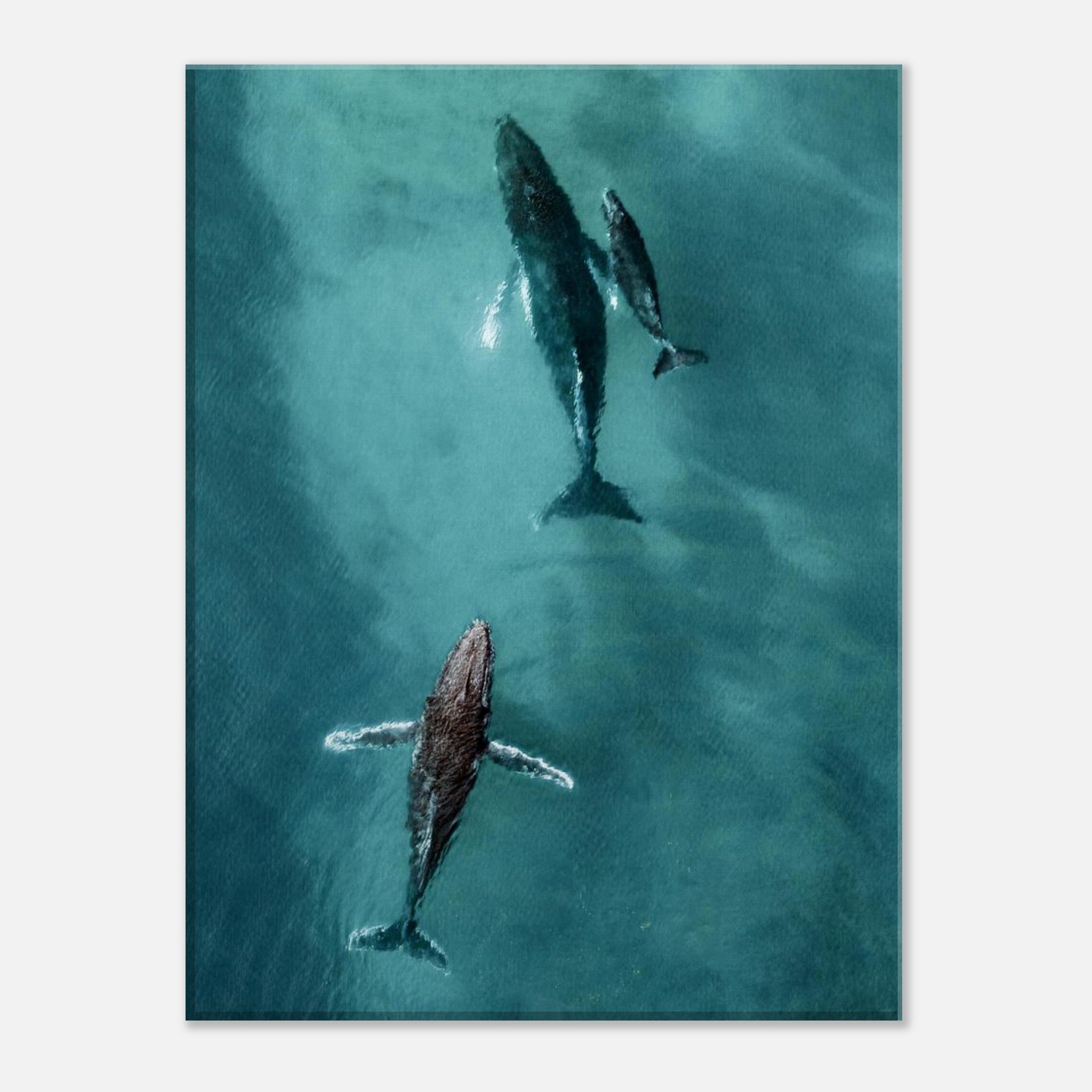 d3b9d157-ebb0-4d78-a813-28cebca1d414