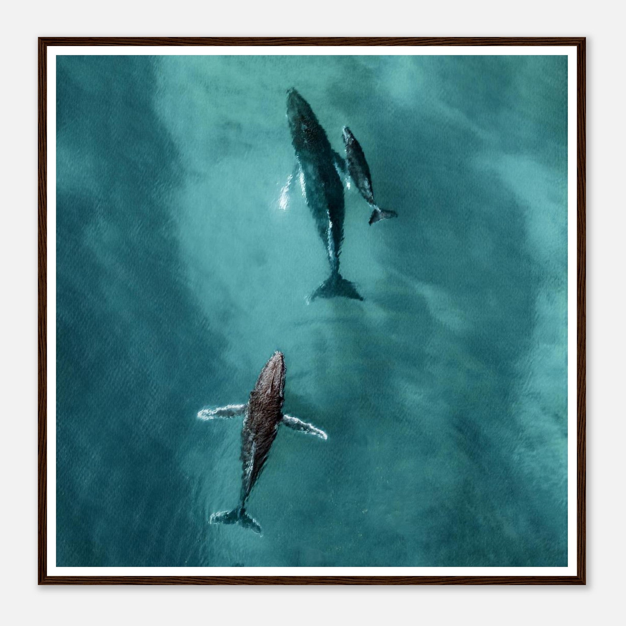 d3e1feb6-d957-4e44-badc-e5253cb16eb6