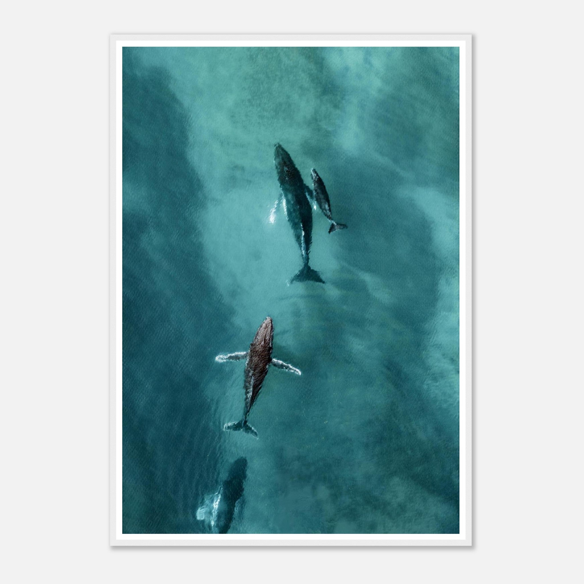 d44e815f-3fd1-43a9-ab72-a66e174e2827